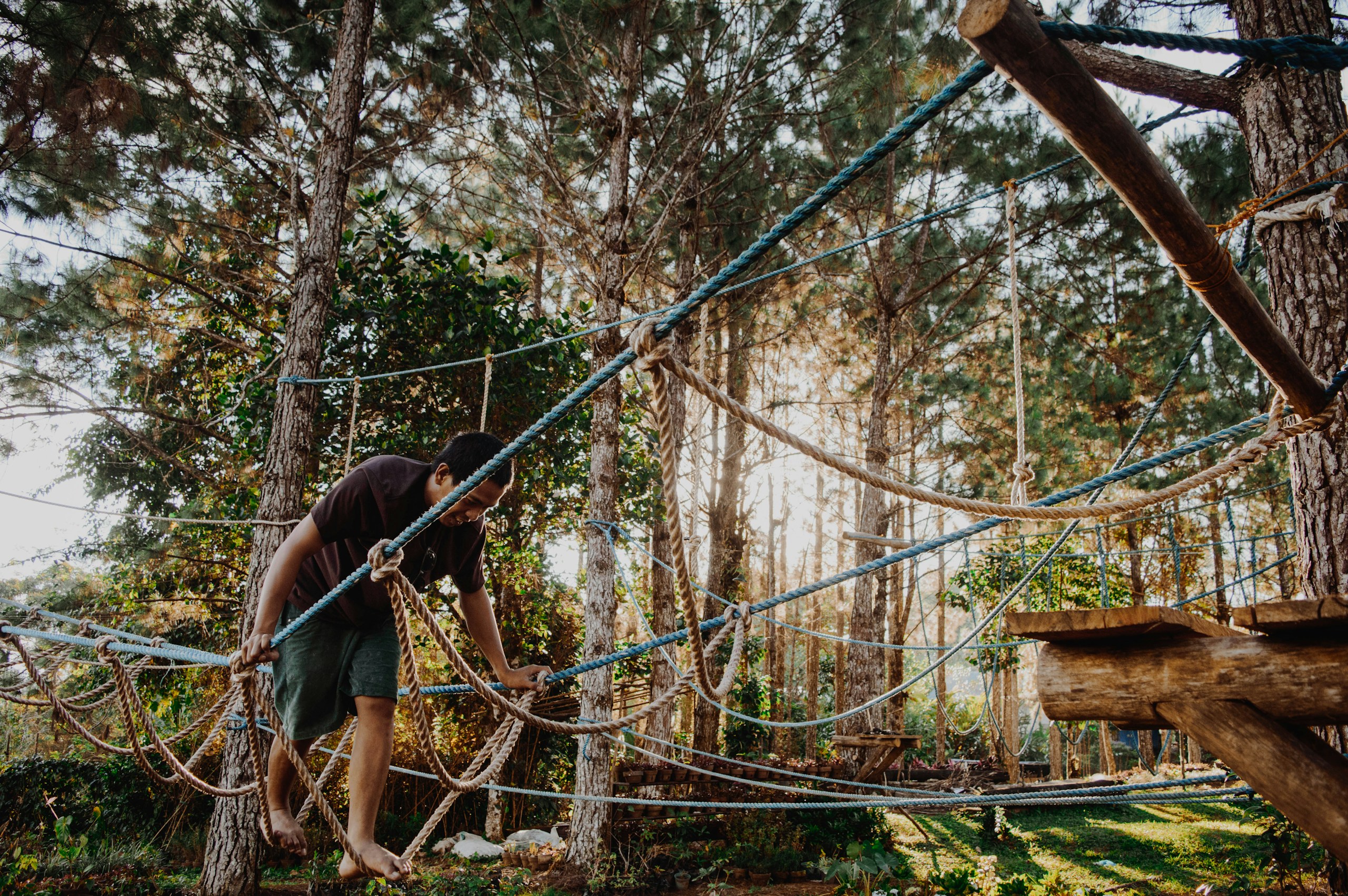 Man Walking on a Rope Course in a Forest HD Wallpaper