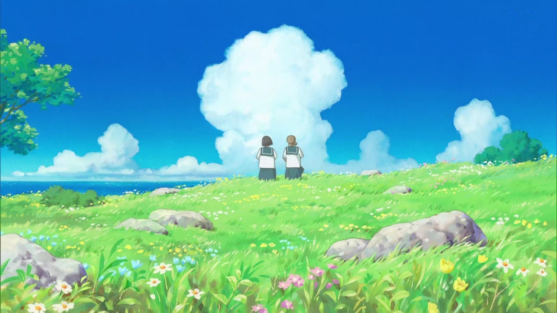 Two schoolgirls on a hill, Cocoon: One Summer of Girlhood HD Wallpaper