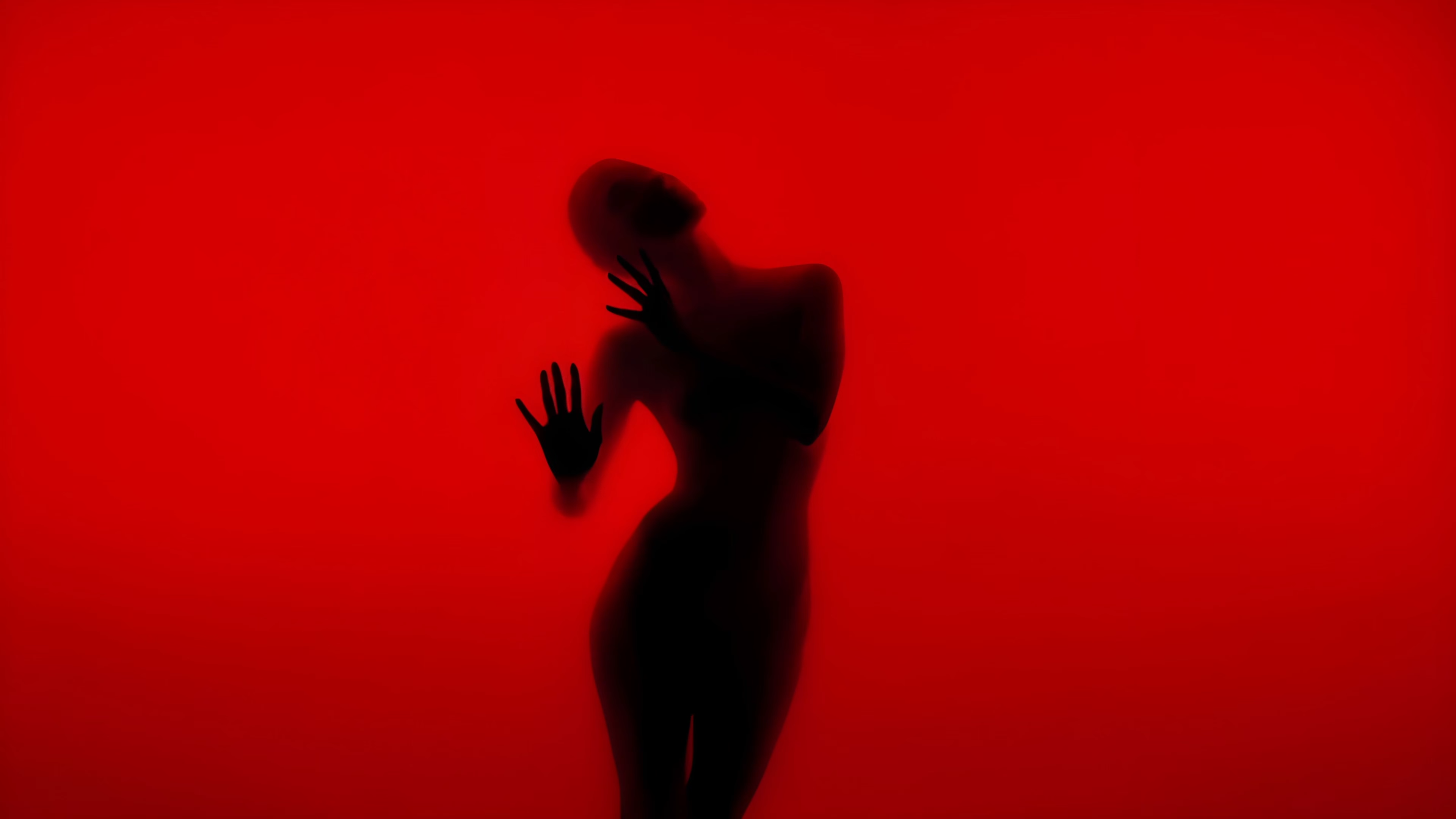 Silhouette of a woman behind a red screen HD Wallpaper