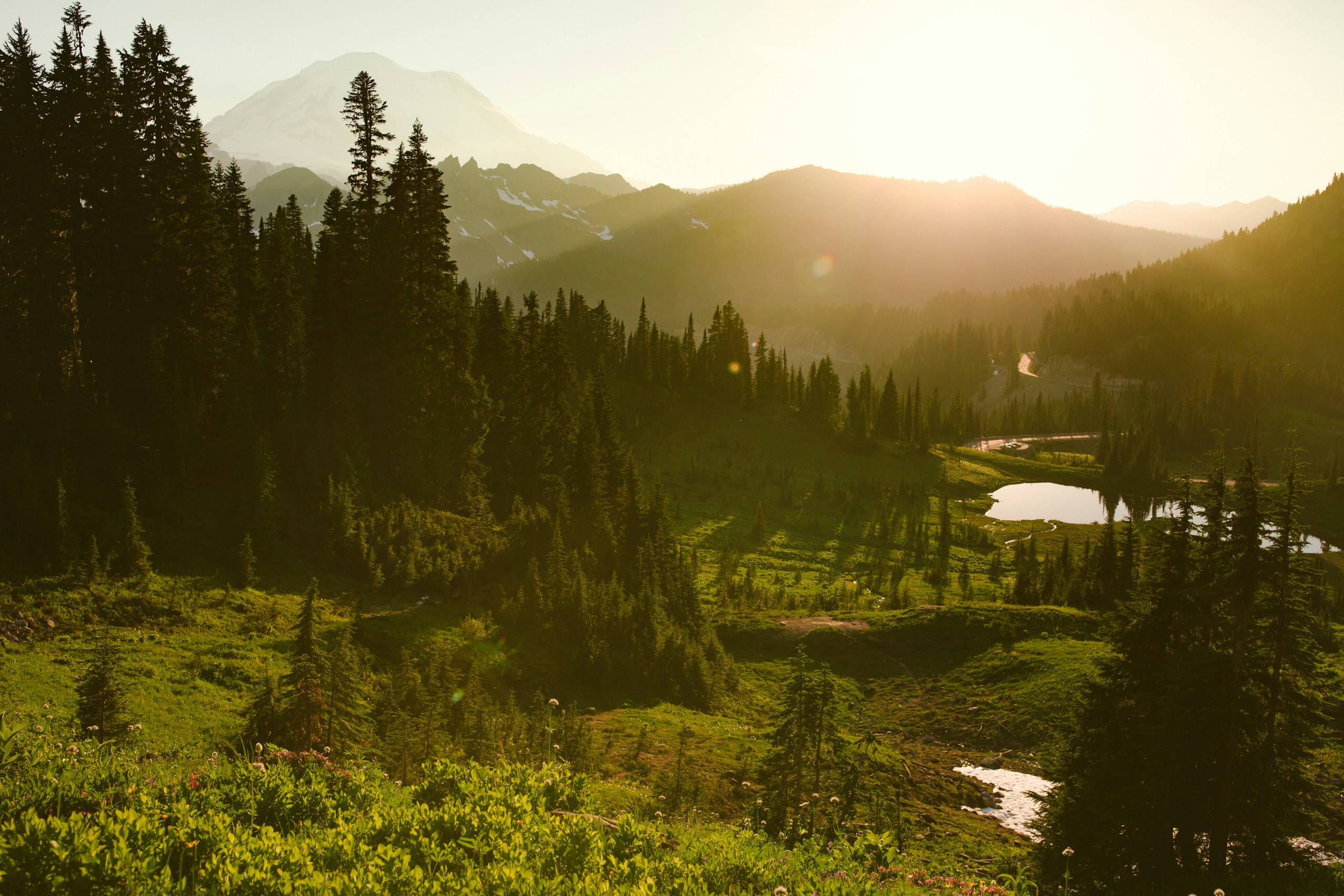 Mountain valley with pine forests at golden hour HD Wallpaper
