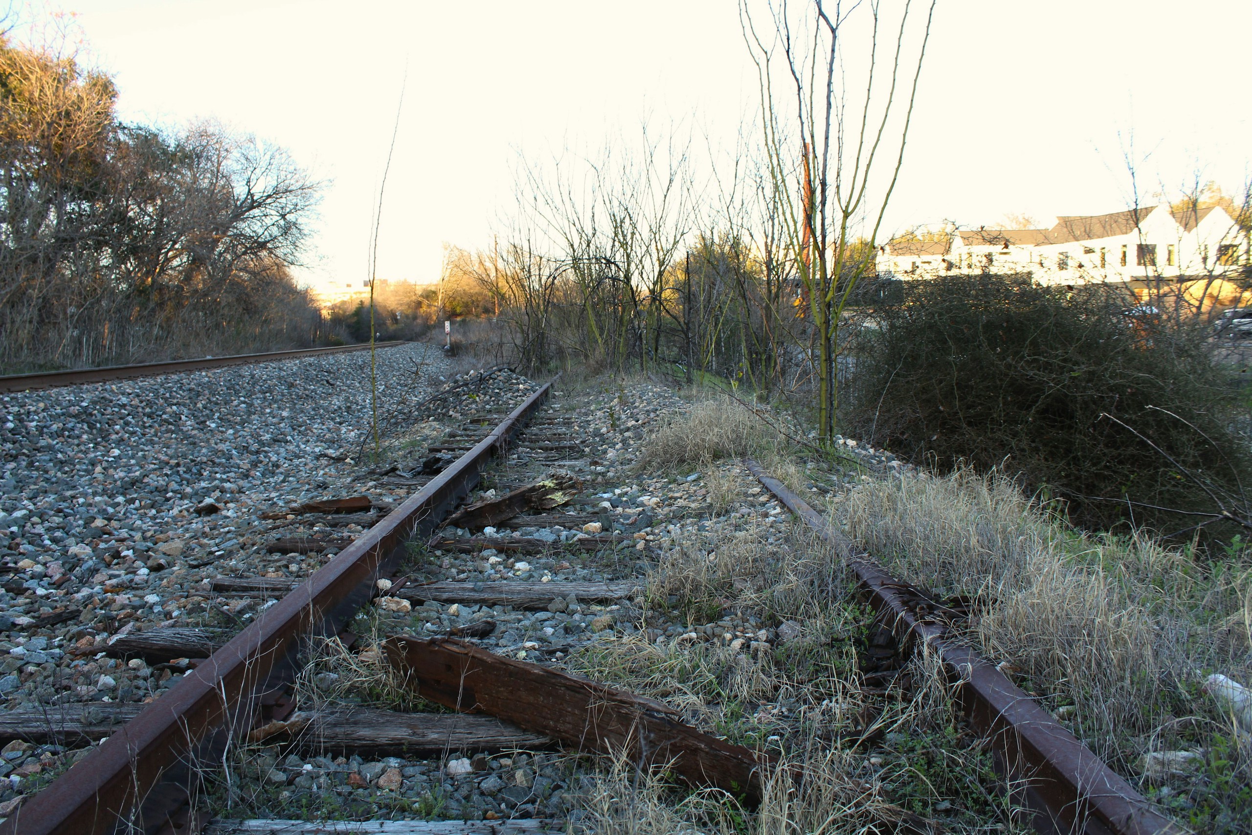 Abandoned Railroad Track Overgrown with Weeds HD Wallpaper