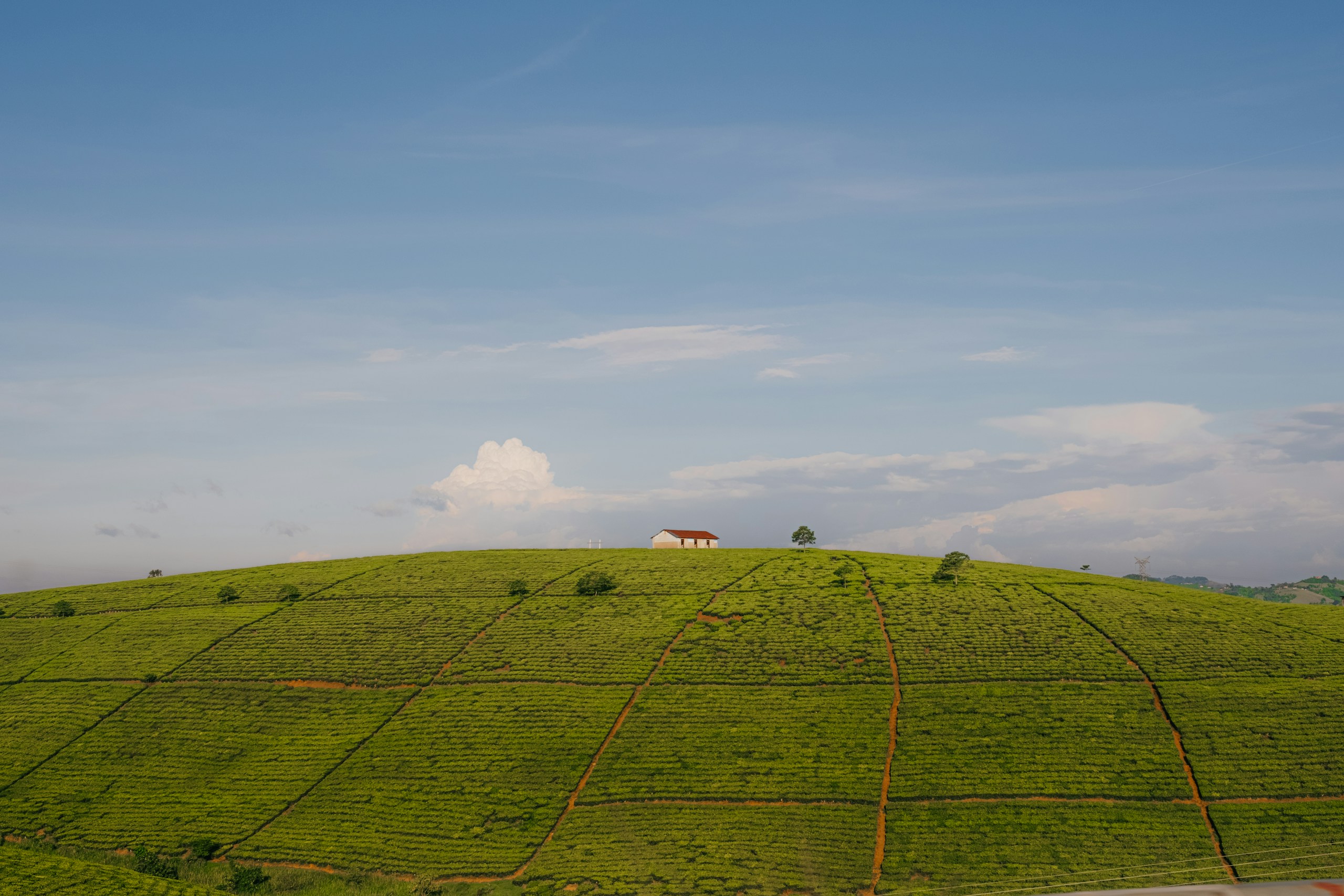 Lush green hill with a small house on top HD Wallpaper