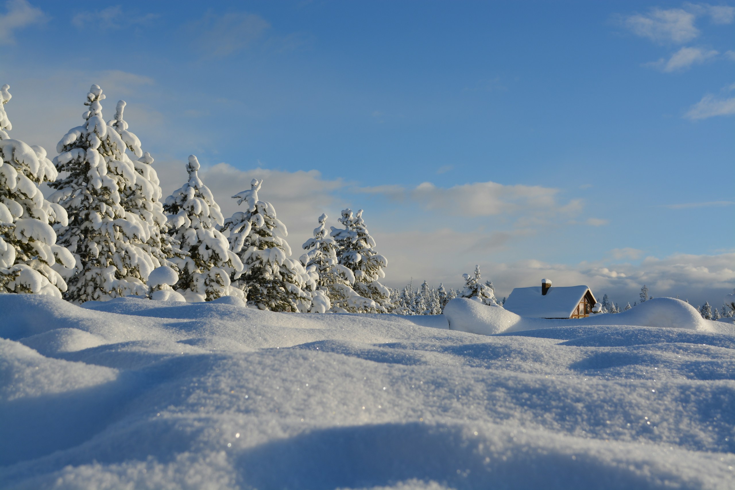 Snow-covered trees and cabin in winter landscape HD Wallpaper