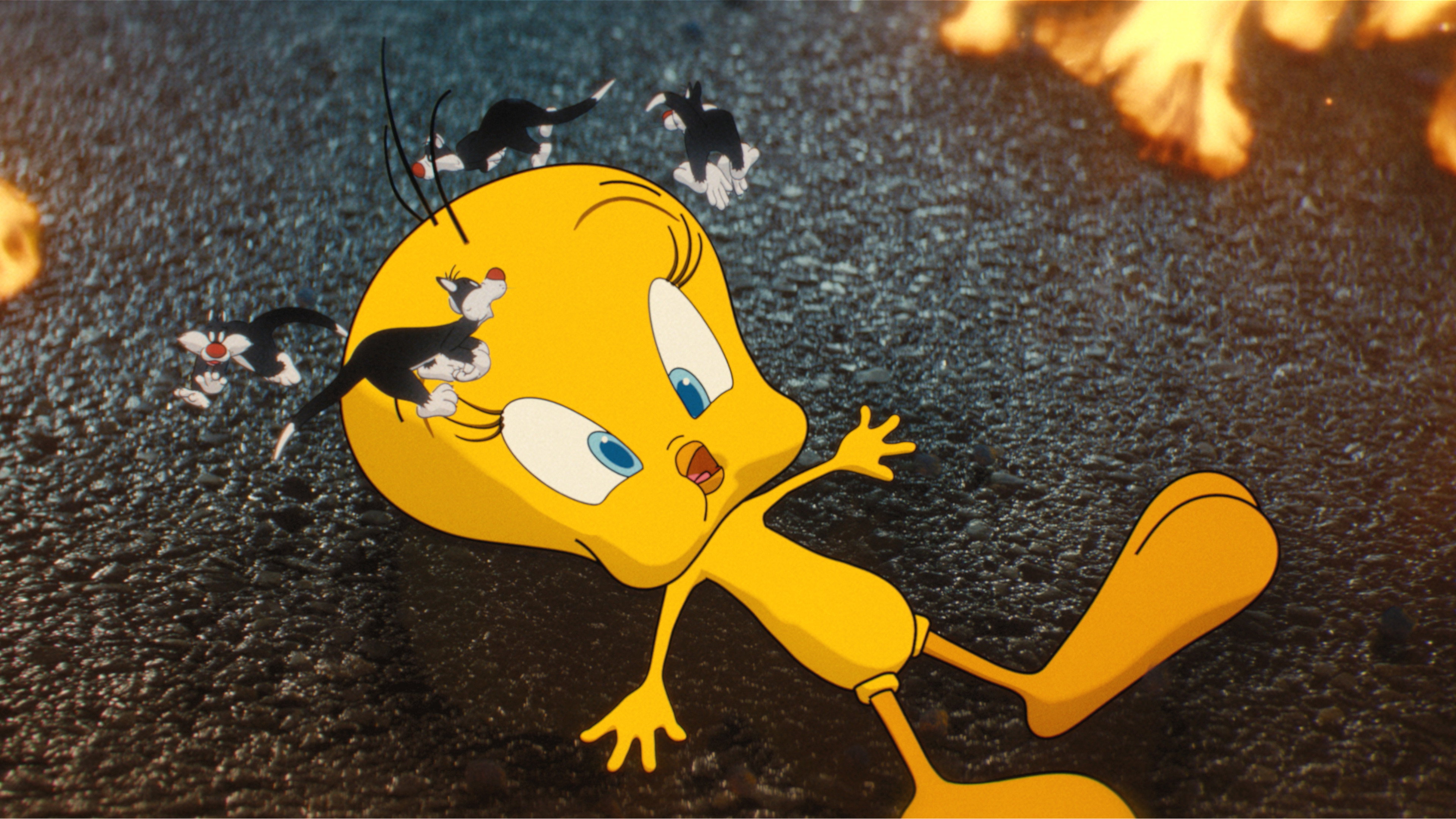 Dizzy Tweety Bird with tiny Sylvesters from Looney Tunes HD Wallpaper