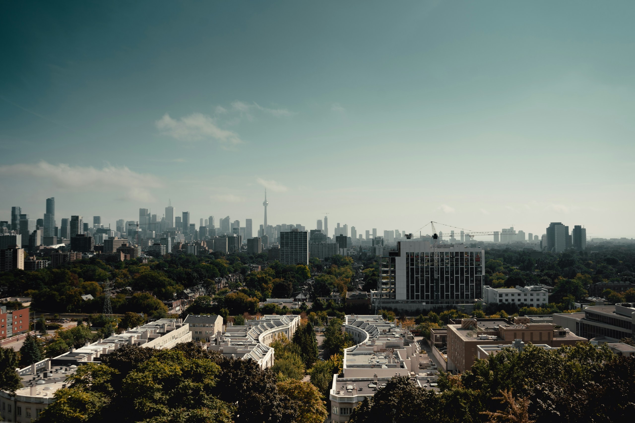 Toronto Skyline with CN Tower and Foreground Greenery HD Wallpaper