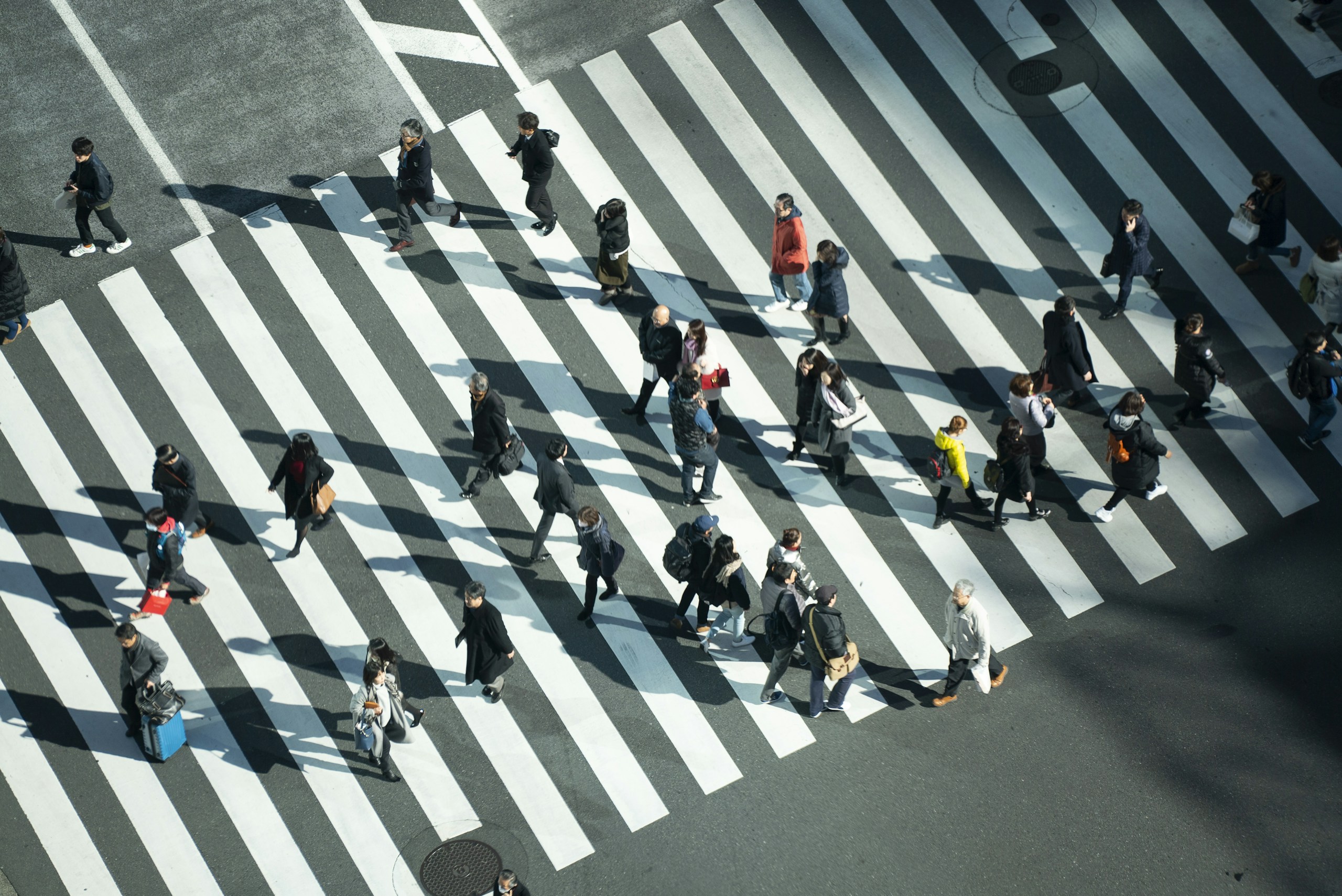 People Walking on a Pedestrian Crosswalk HD Wallpaper
