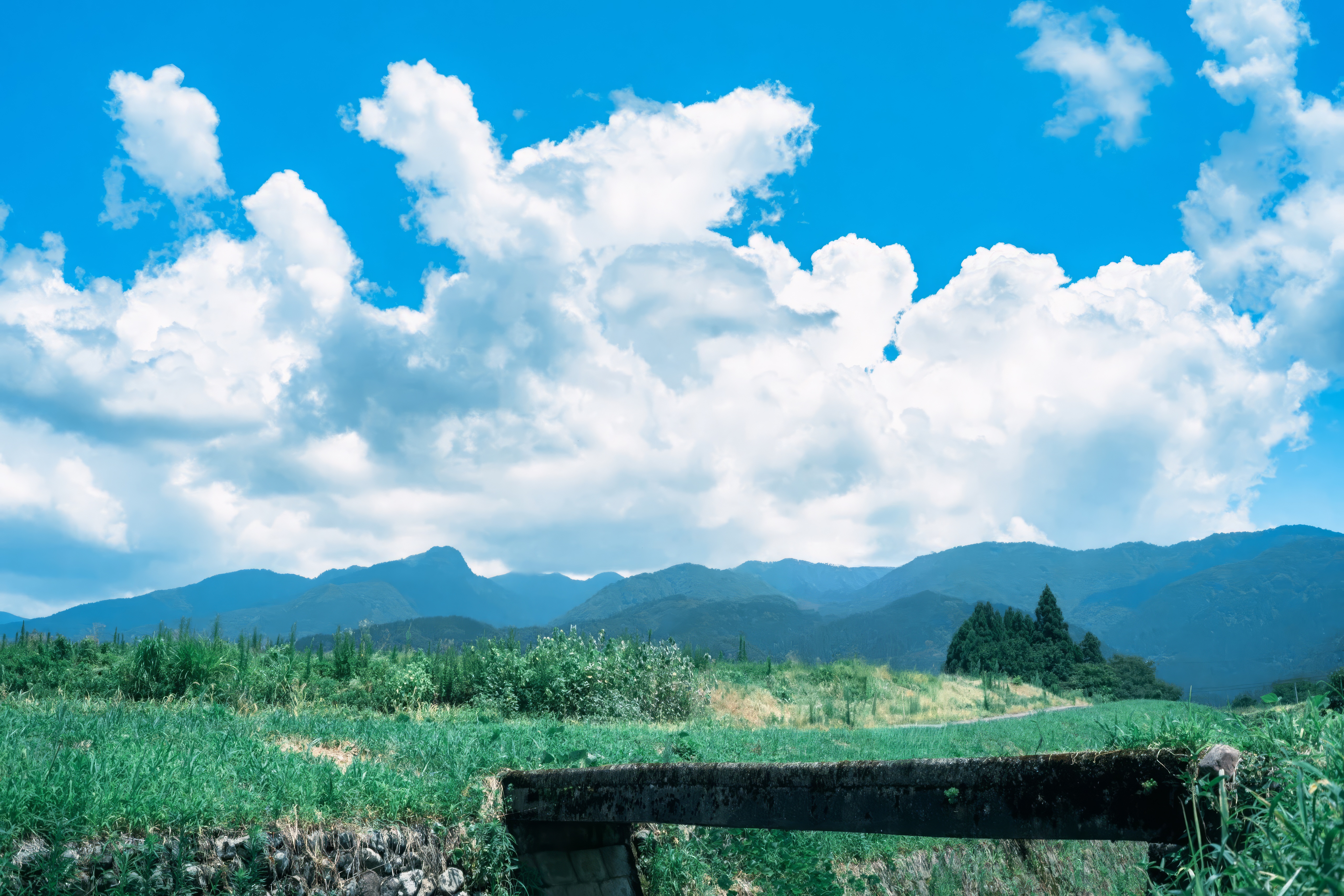 Green fields and mountains under a cloudy blue sky HD Wallpaper