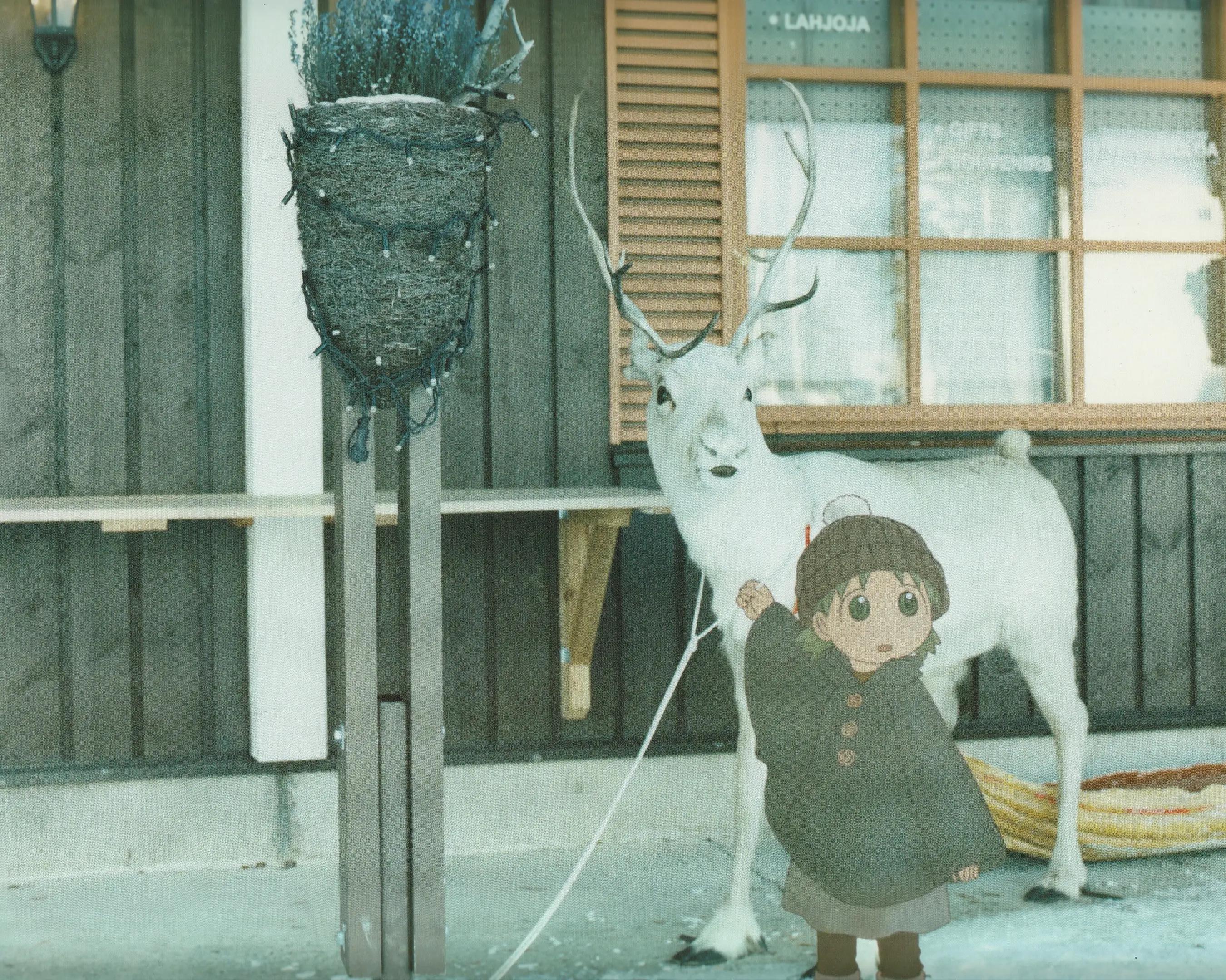 Yotsuba Koiwai from Yotsuba&! with a White Reindeer HD Wallpaper