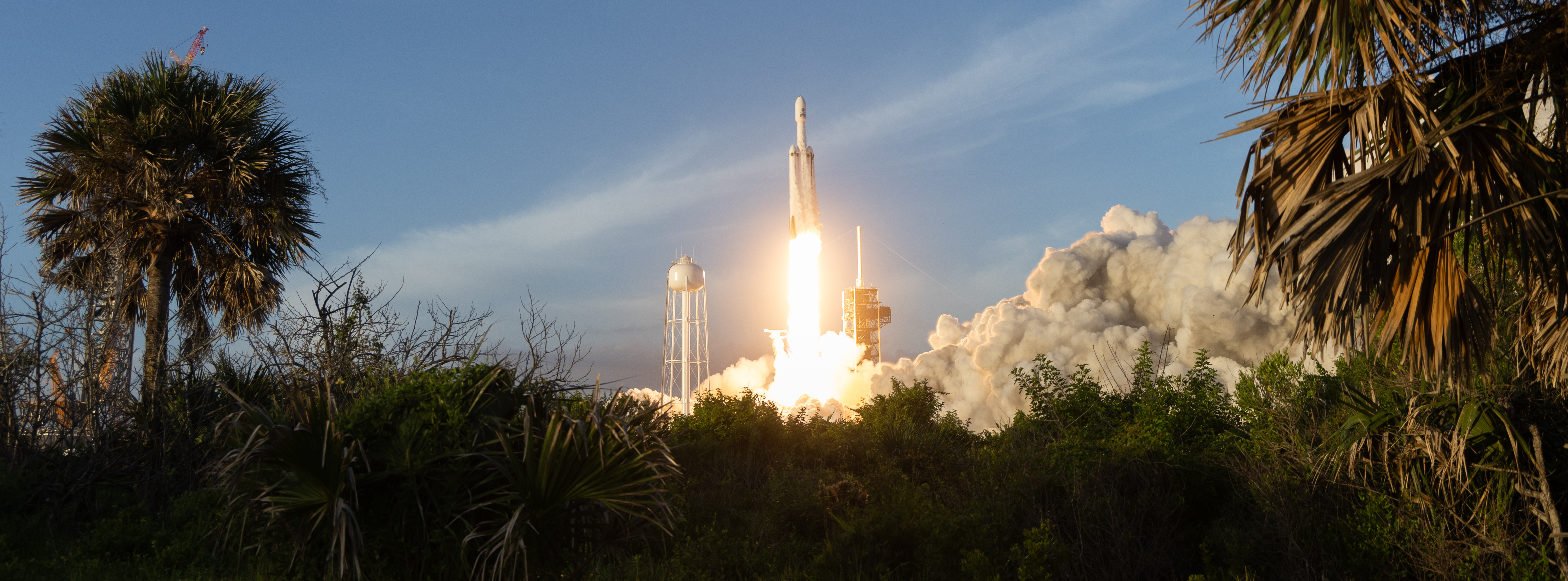 Falcon Heavy Rocket Launch Framed by Palm Trees HD Wallpaper