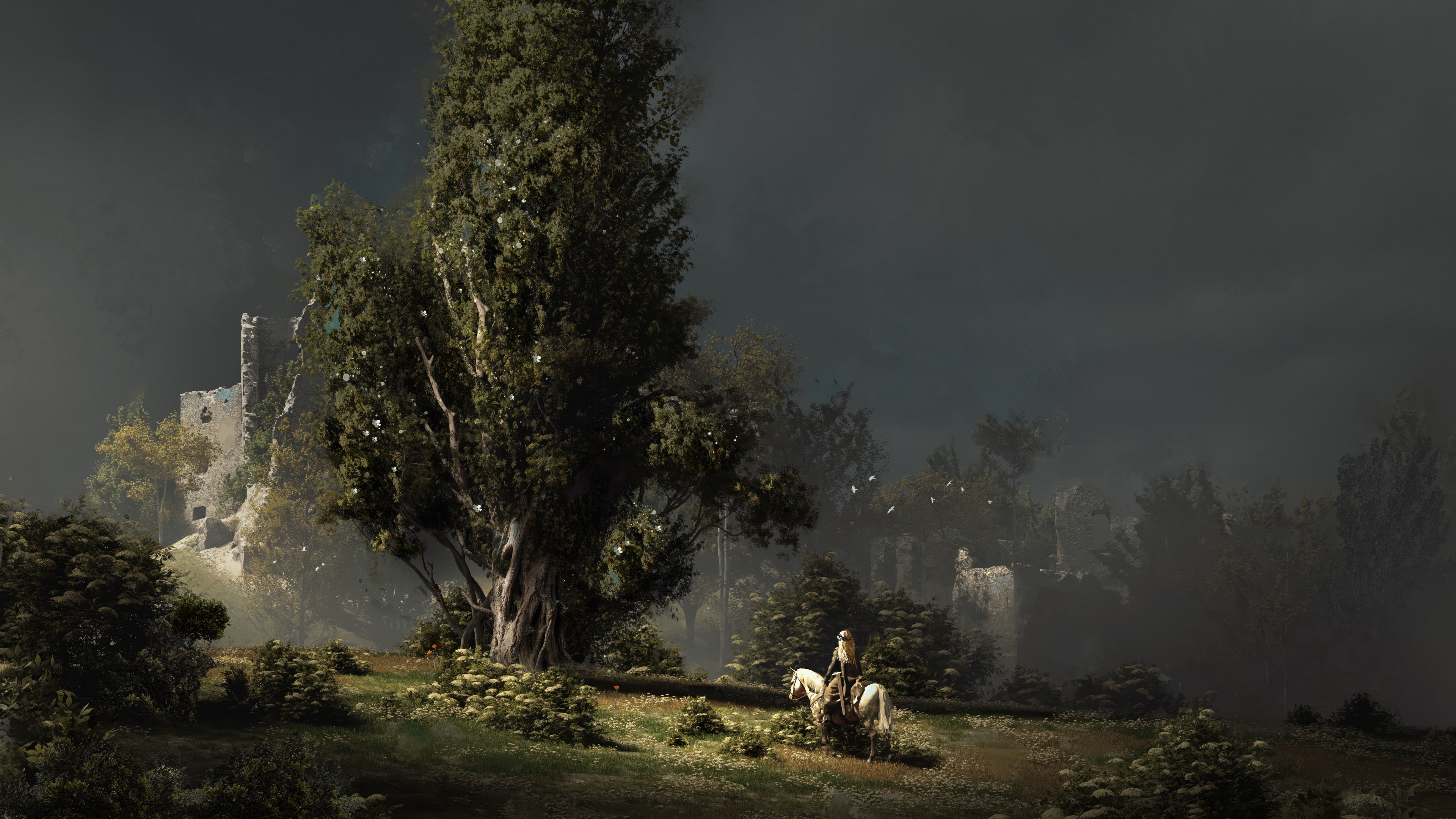 Lone rider on a white horse by an ancient tree HD Wallpaper