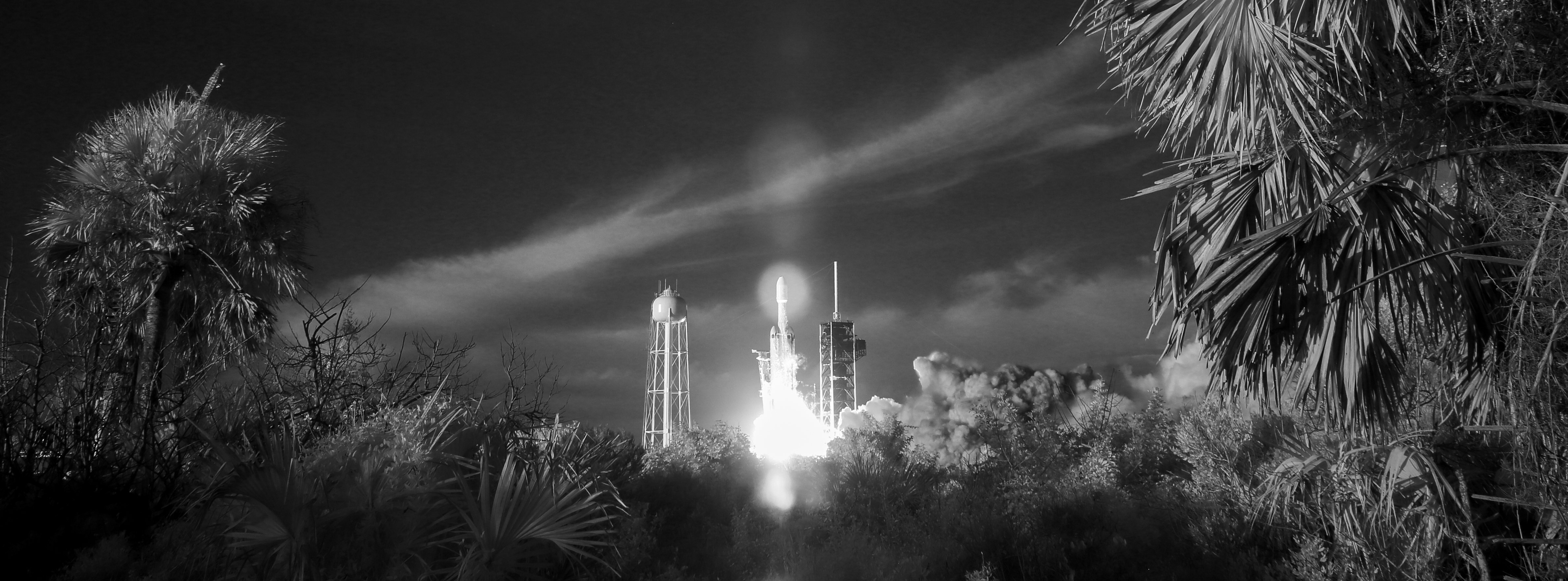 Falcon Heavy rocket launch framed by palm trees HD Wallpaper