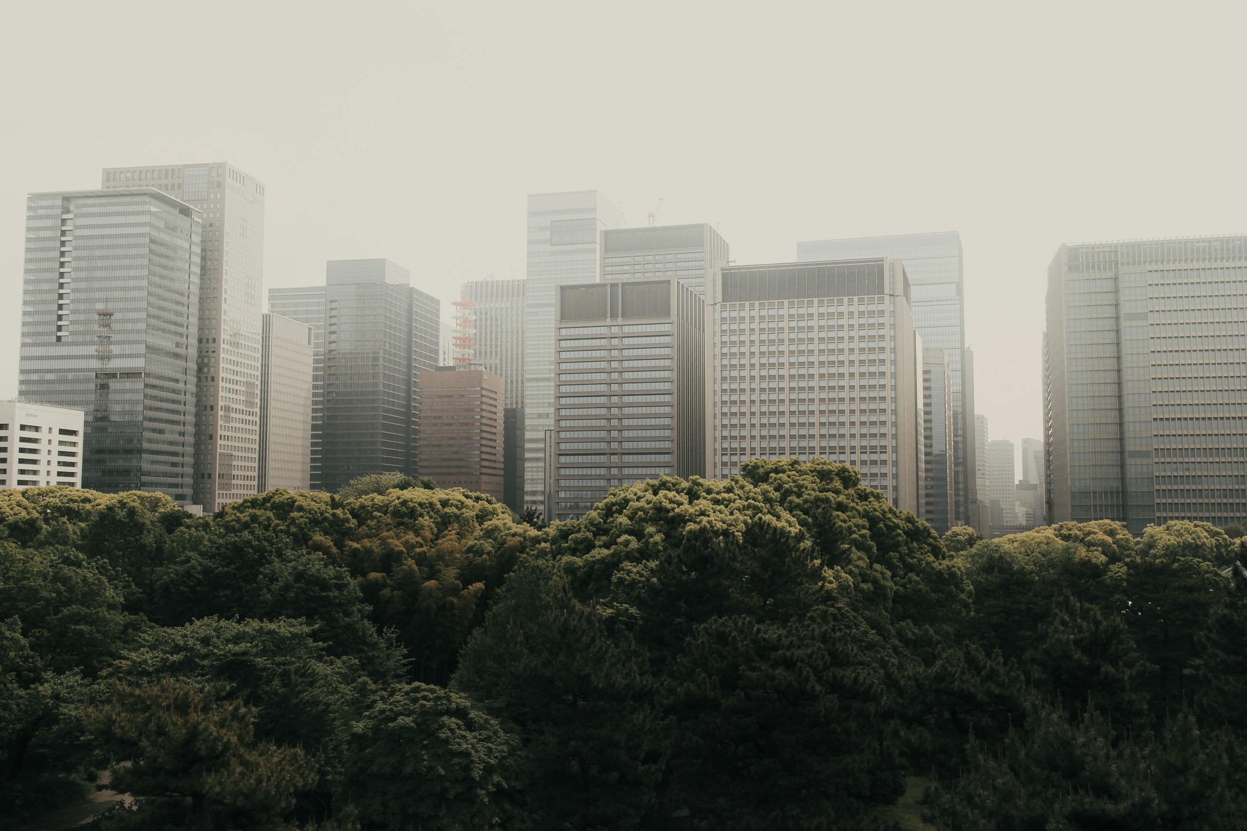 Green Trees and Modern Skyscrapers in Hazy Cityscape HD Wallpaper