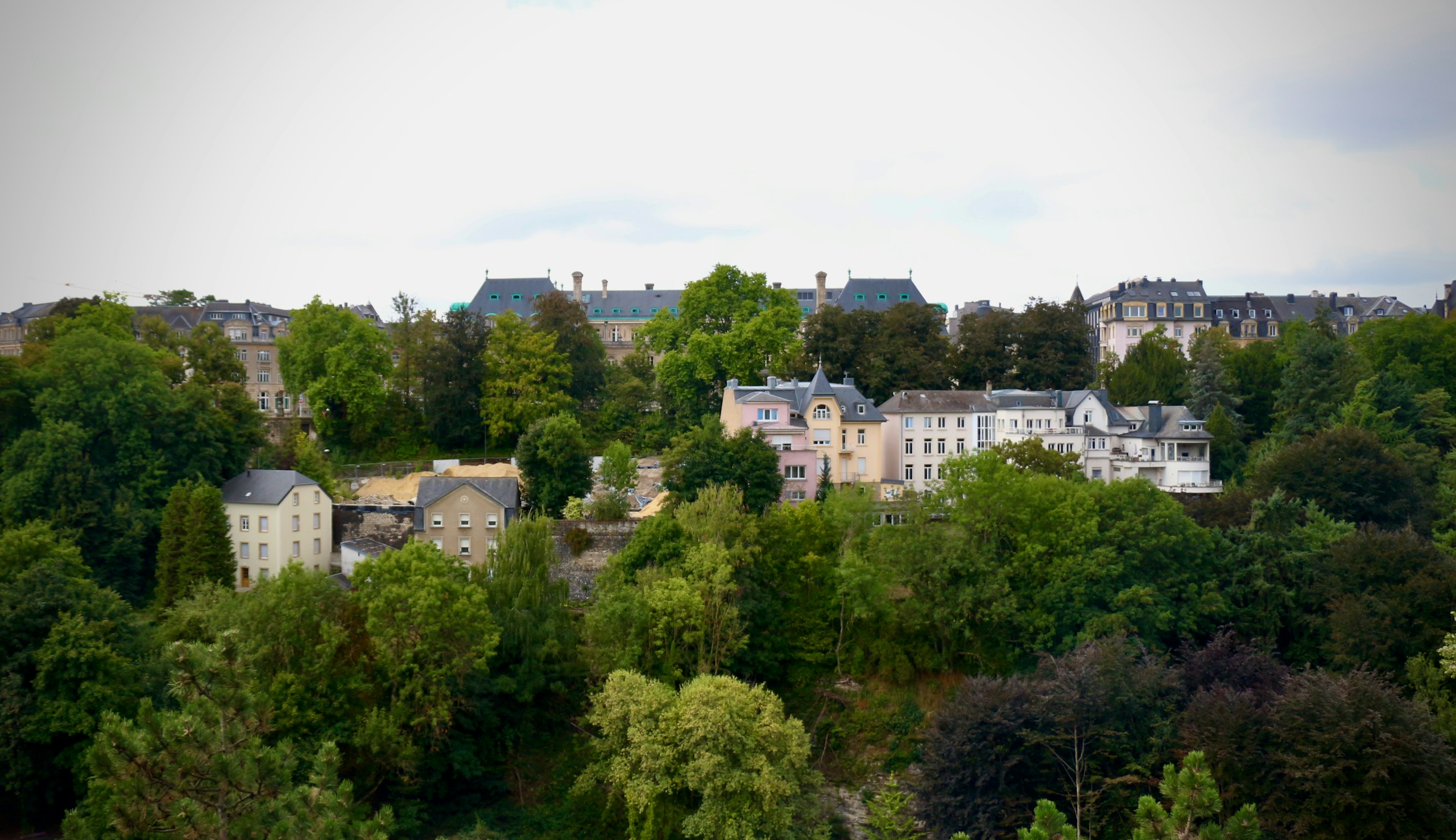 Houses and buildings surrounded by lush green trees HD Wallpaper