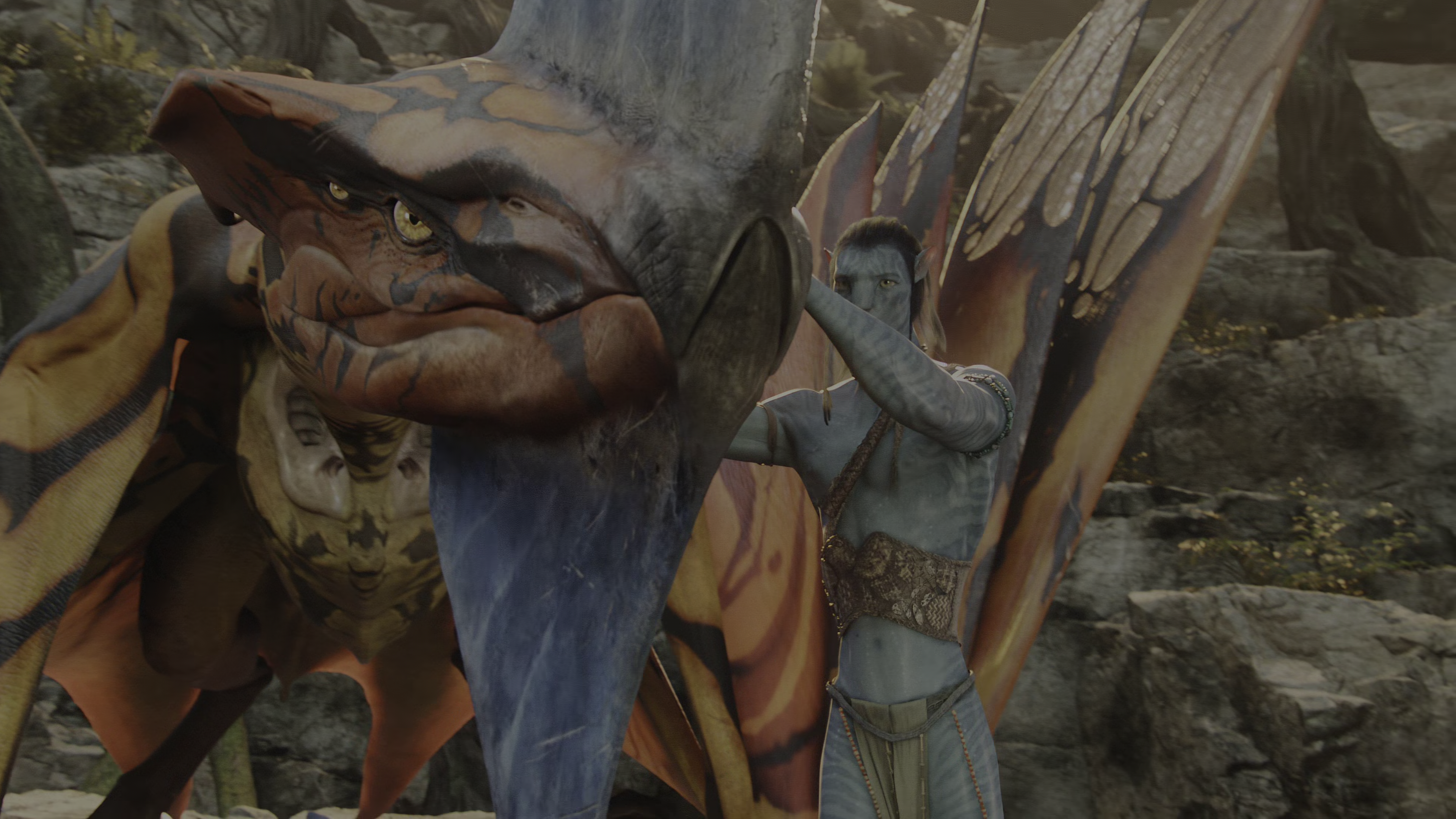 Na'vi and Ikran in Avatar: Frontiers of Pandora HD Wallpaper