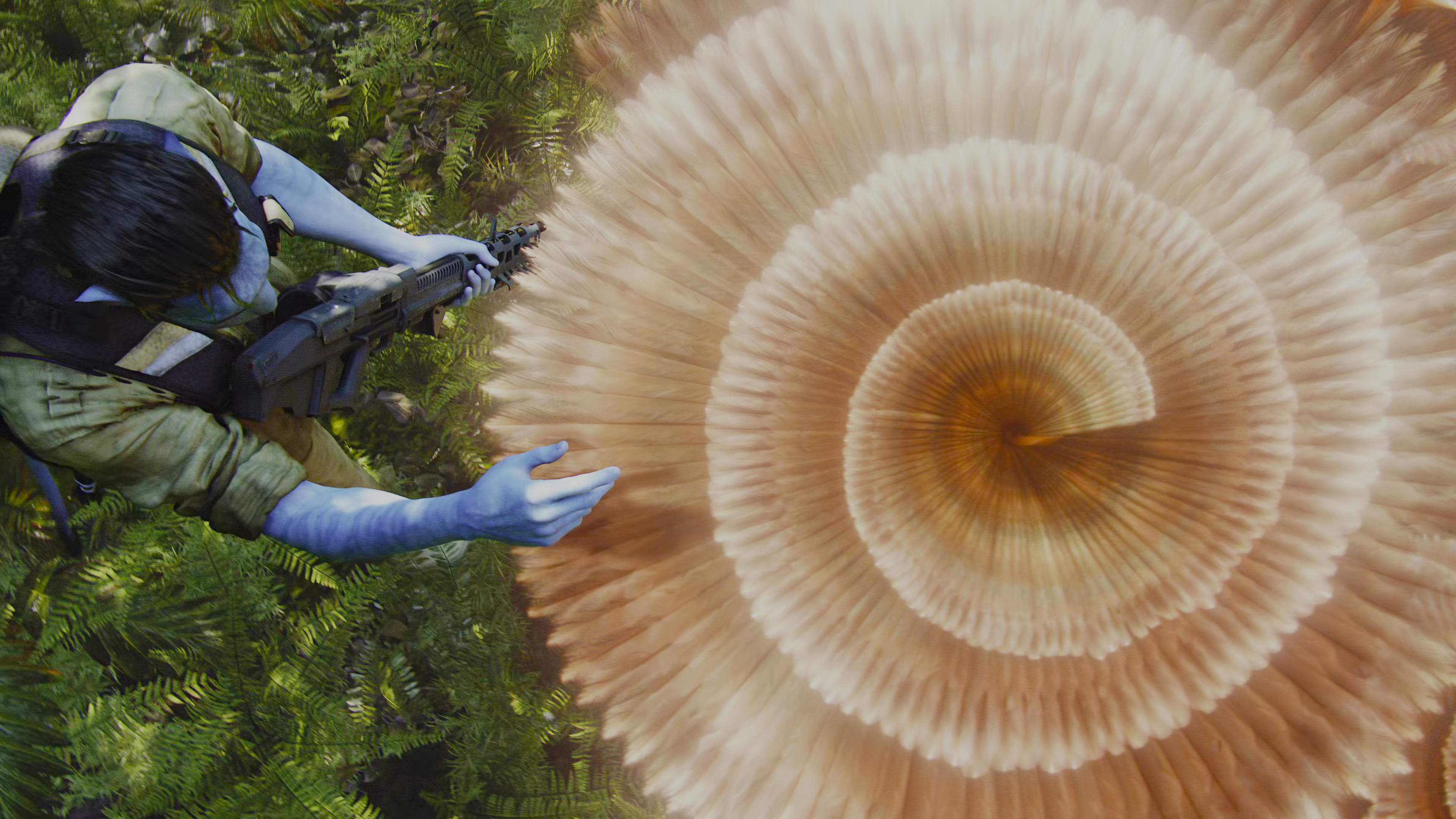 Jake Sully touching a Helicoradian plant in Avatar HD Wallpaper