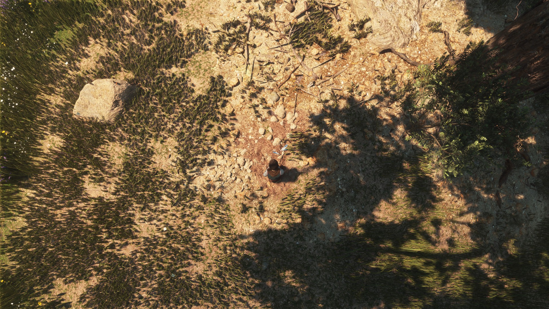 Top-down view of a character in a grassy clearing HD Wallpaper