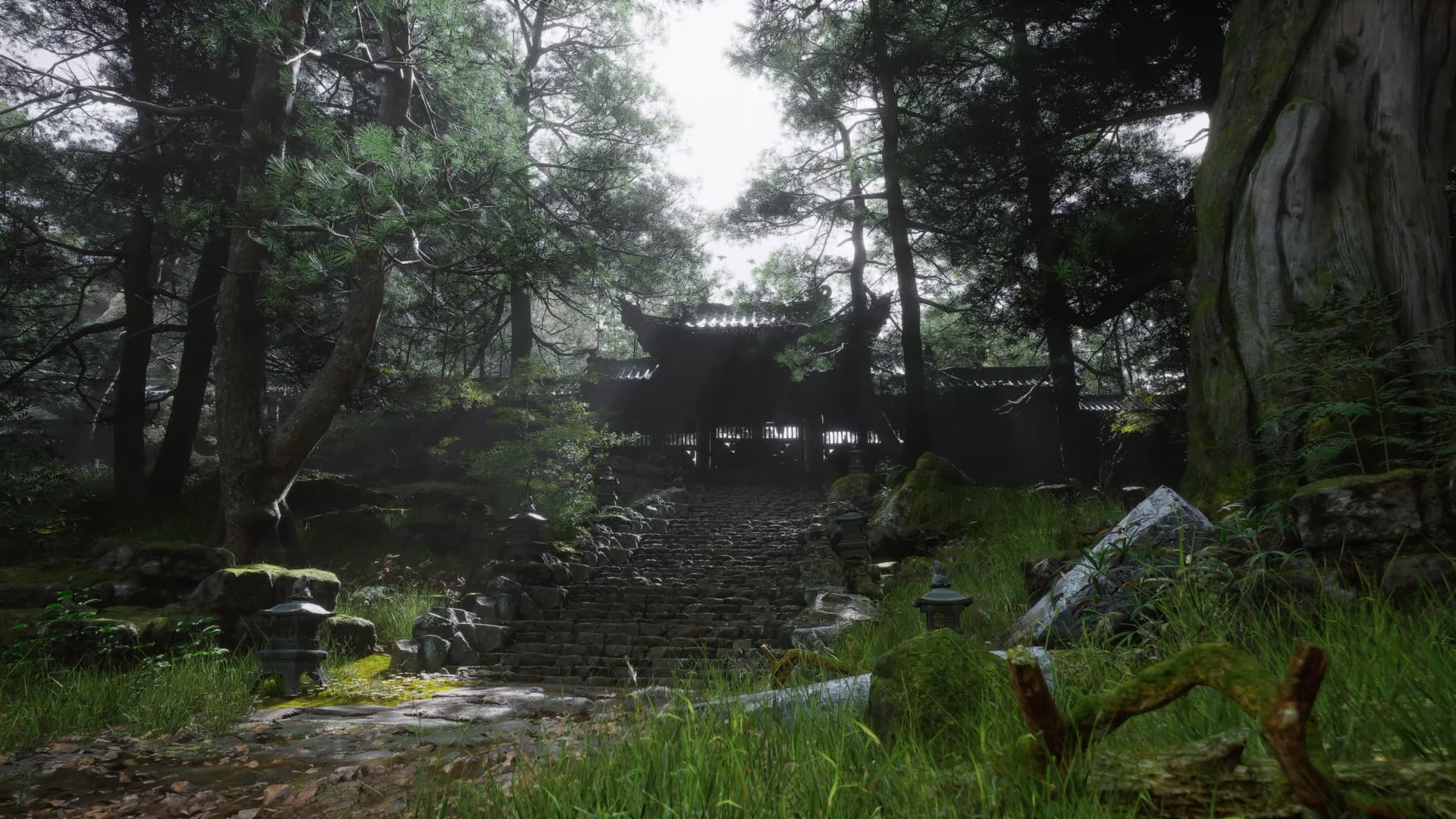 Ancient Forest Temple in Black Myth Wukong HD Wallpaper