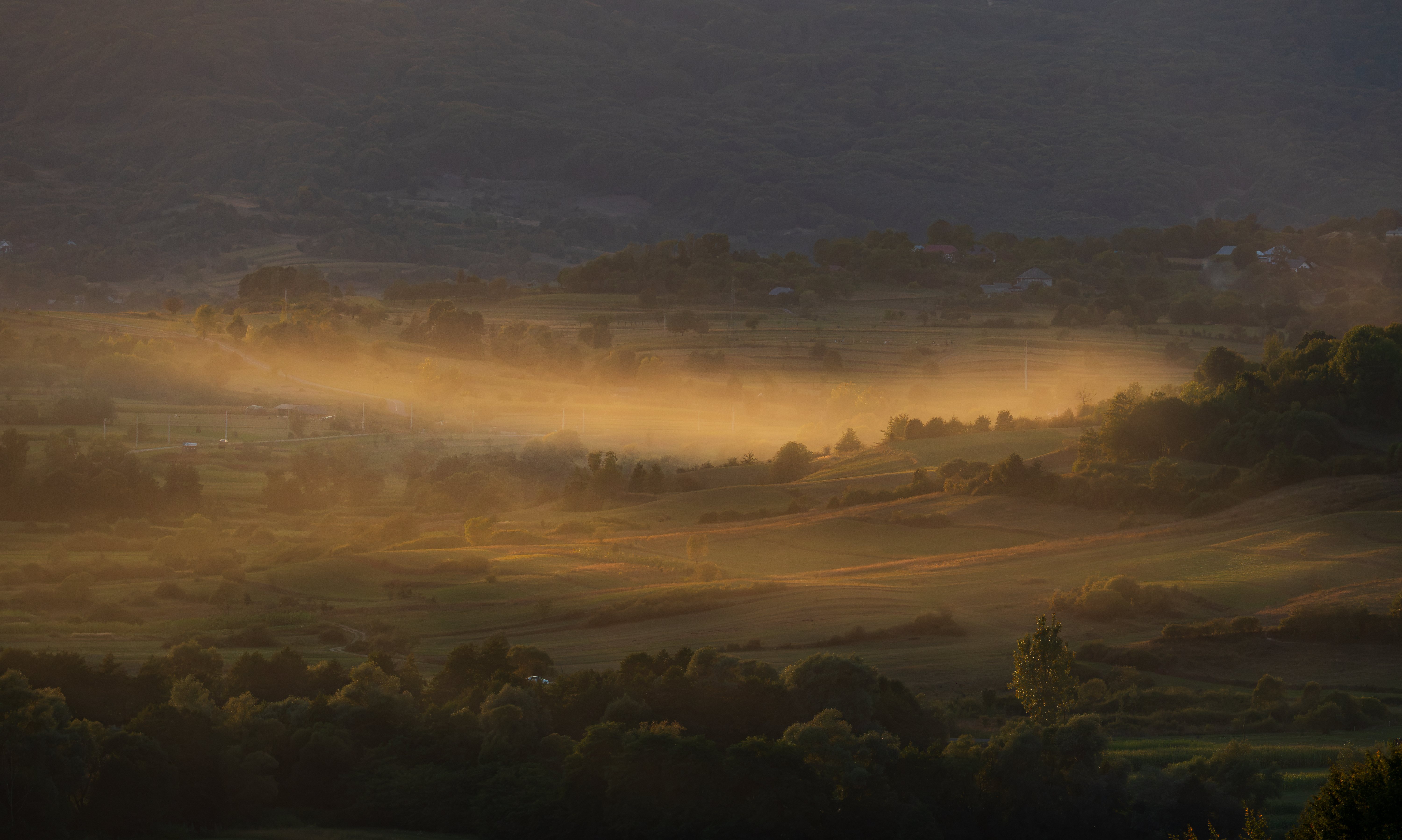 Golden morning mist over a rolling green valley HD Wallpaper