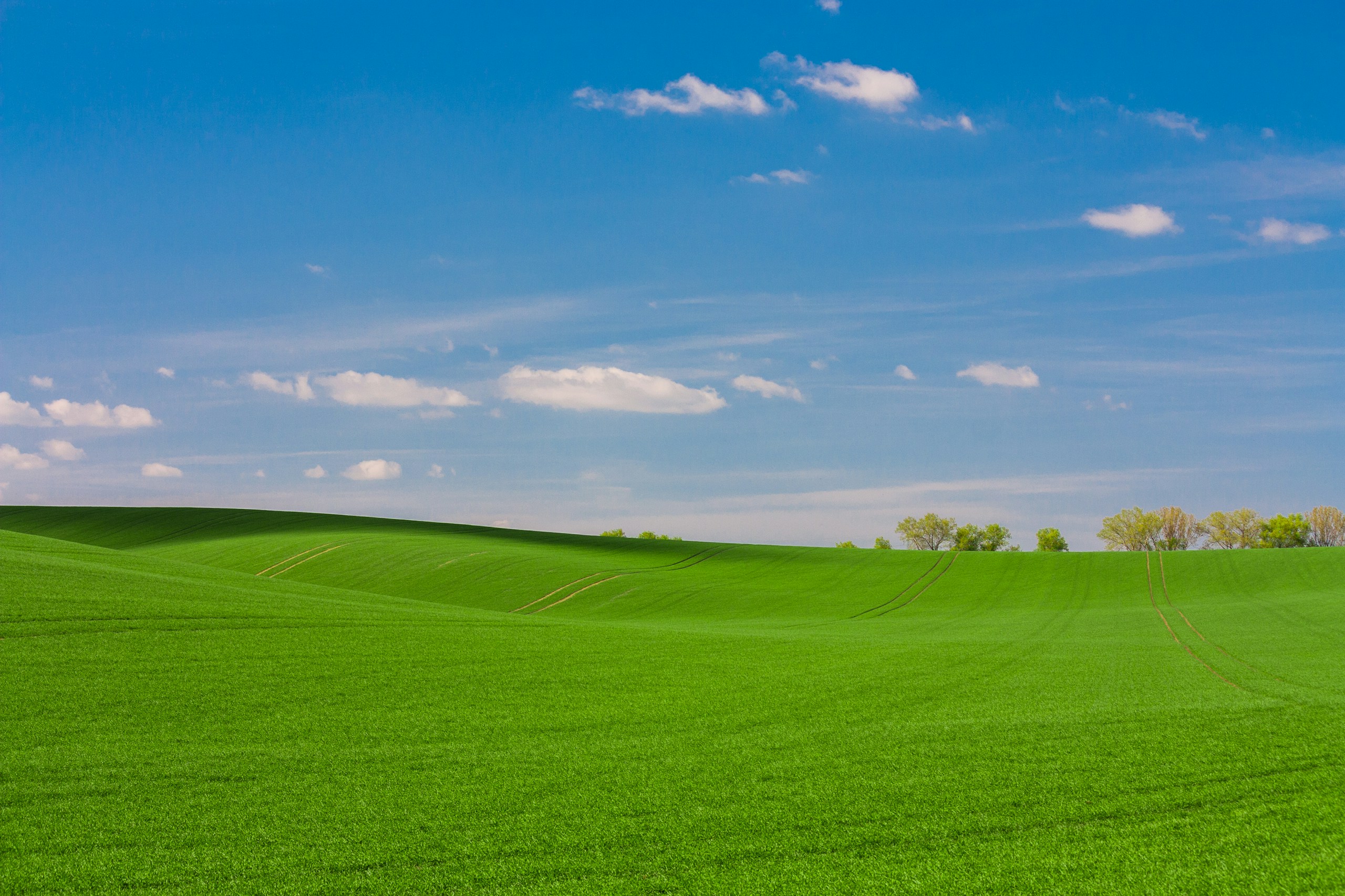 Rolling Green Grass Field Under Blue Sky HD Wallpaper