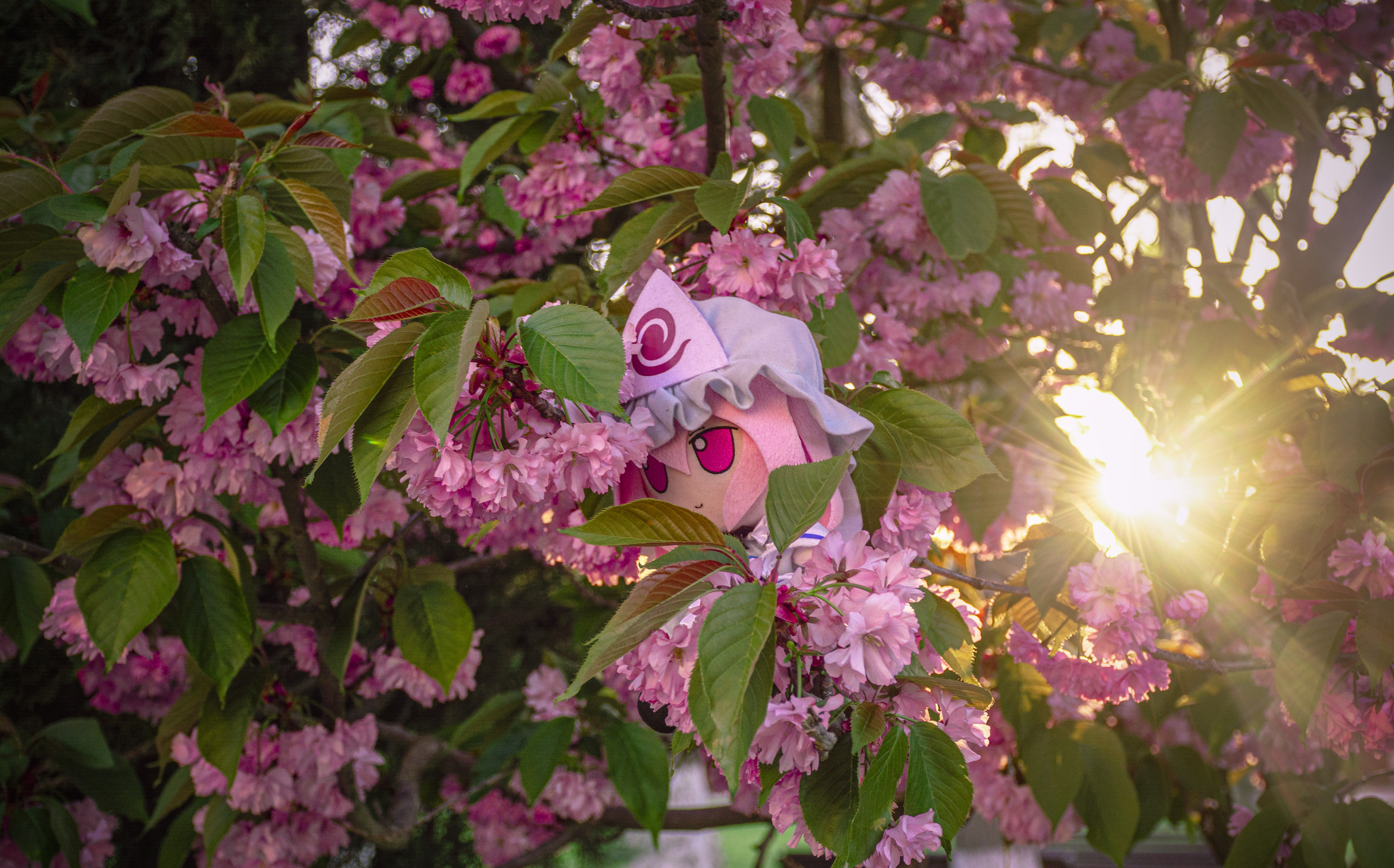 Remilia Scarlet plush among pink cherry blossoms HD Wallpaper