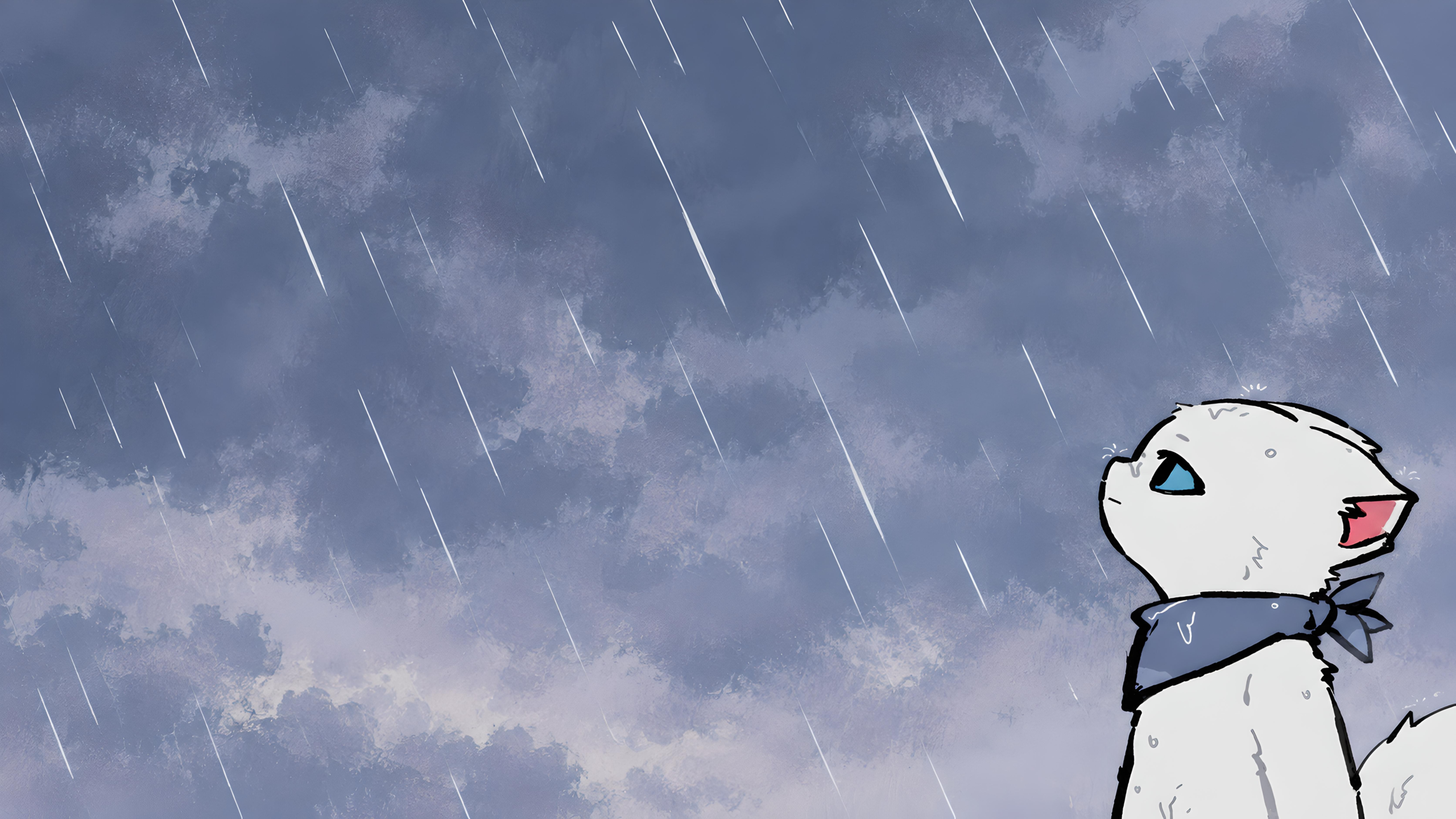 White cat in the rain looking up HD Wallpaper