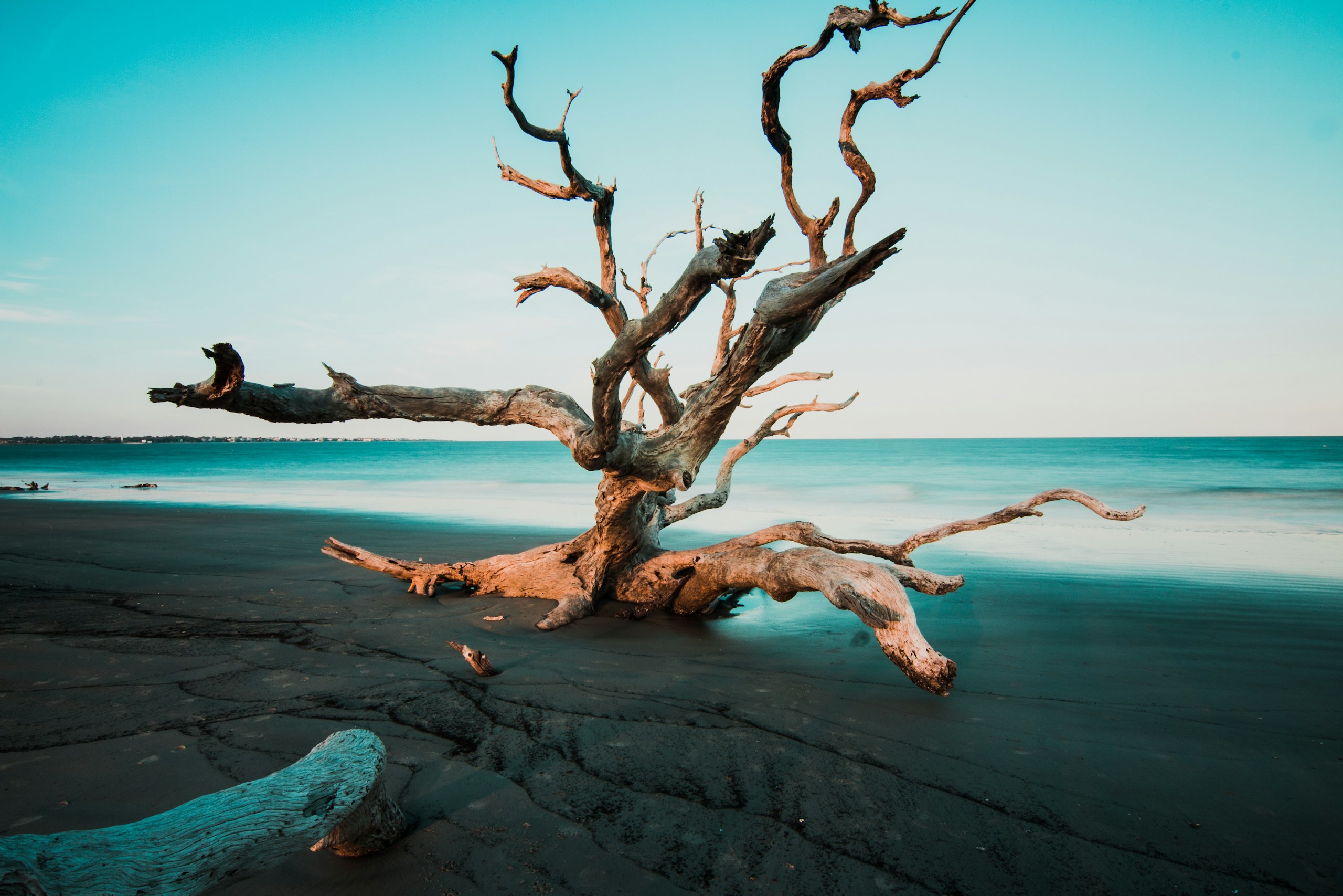Driftwood on a beach at sunset HD Wallpaper