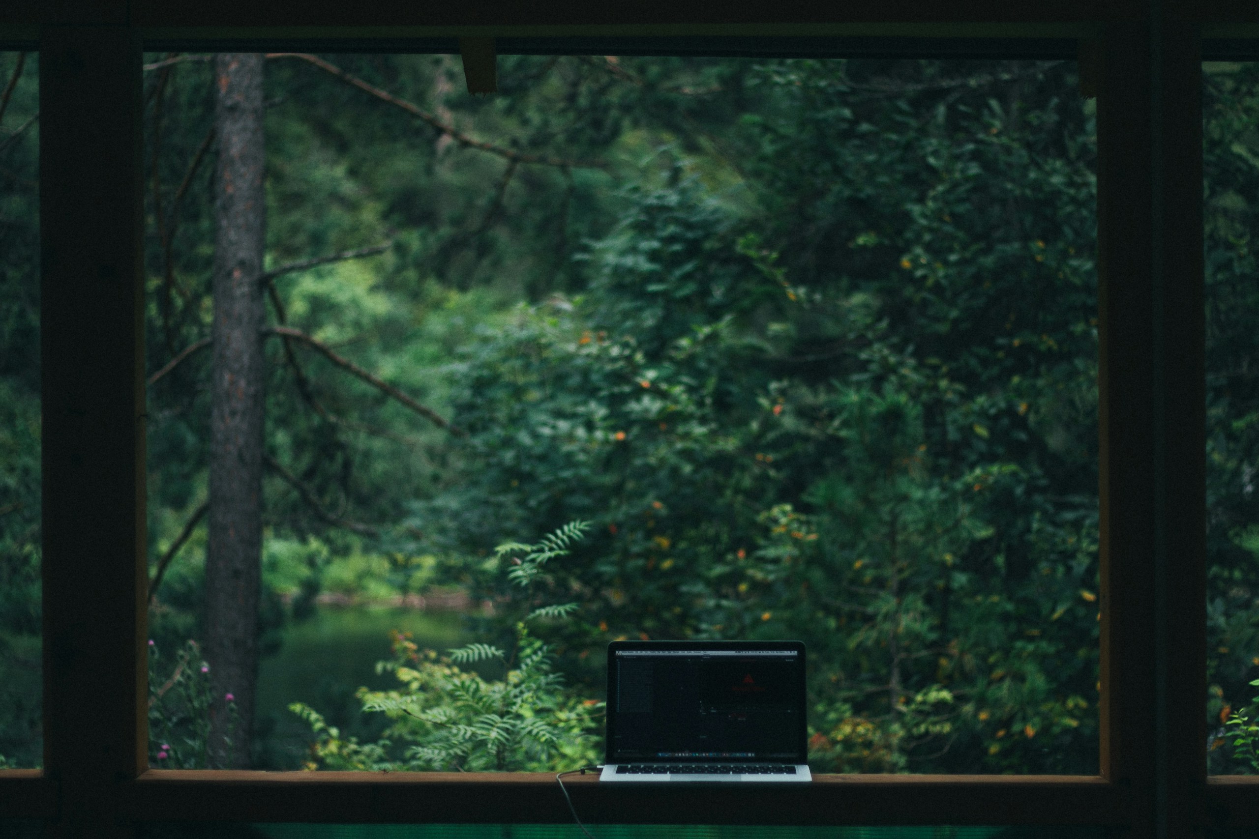 Laptop on a wooden surface overlooking a forest HD Wallpaper