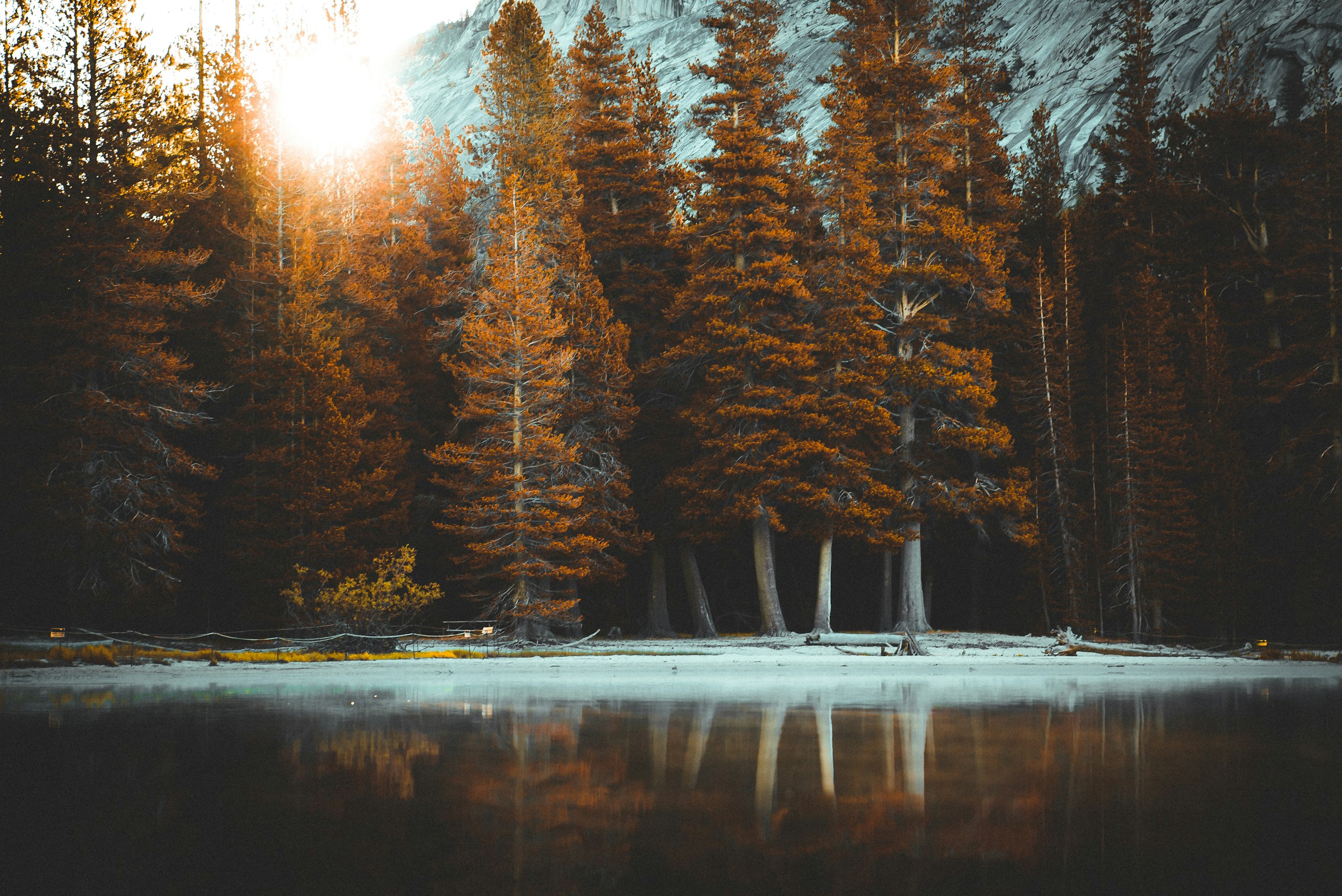 Autumn forest reflected in a calm lake HD Wallpaper