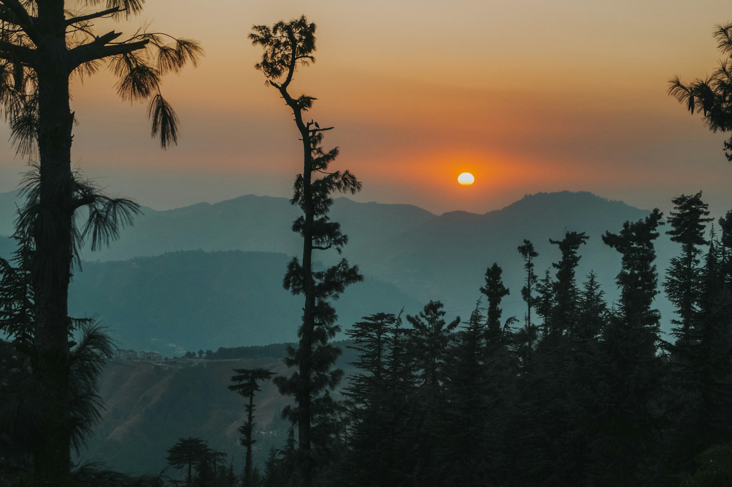 Sunset over misty mountains with pine trees HD Wallpaper