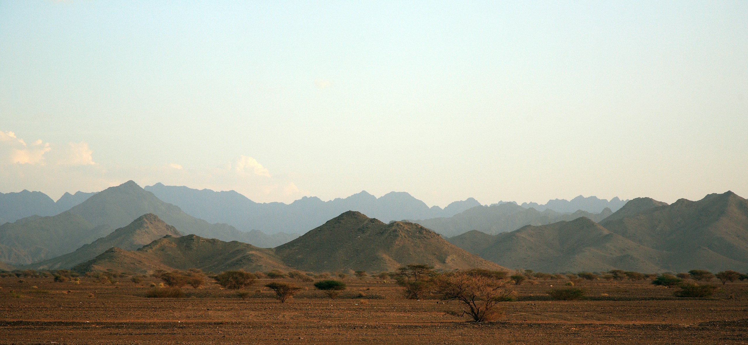 Desert mountains with sparse trees under a pale sky HD Wallpaper