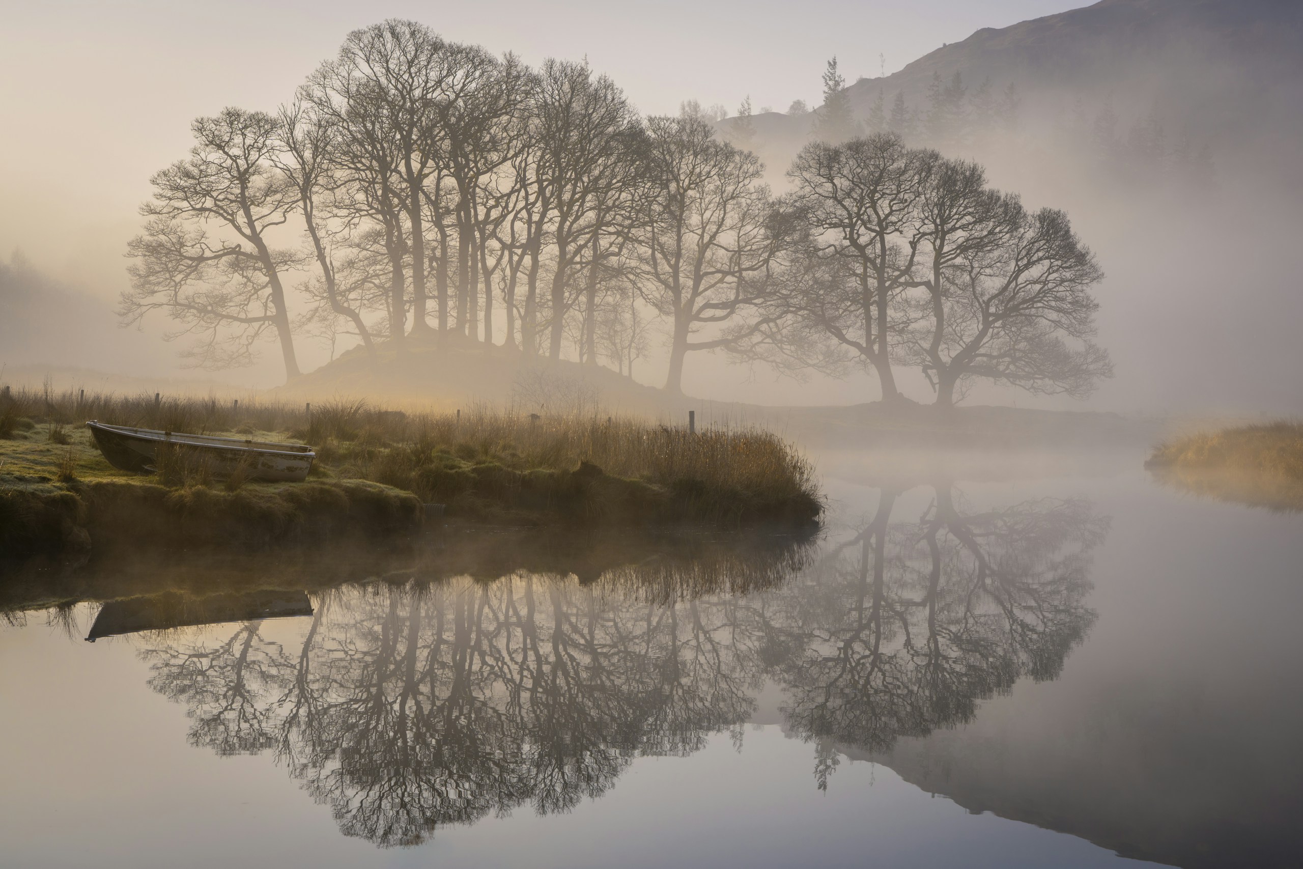 Misty morning landscape with bare trees and river reflections HD Wallpaper
