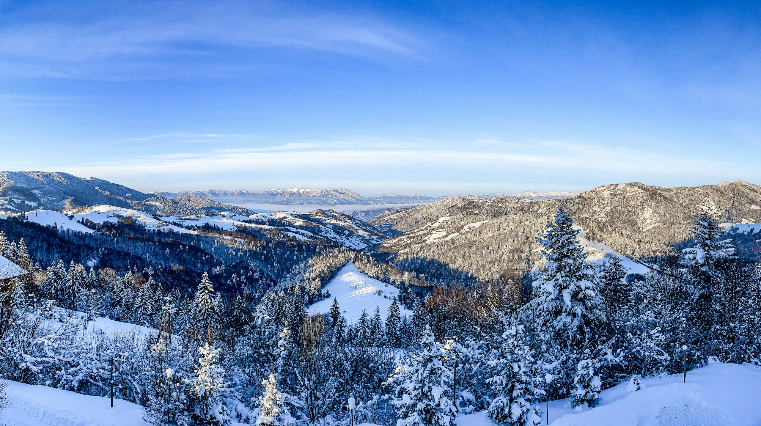 Snow-covered mountains and trees under a blue sky HD Wallpaper