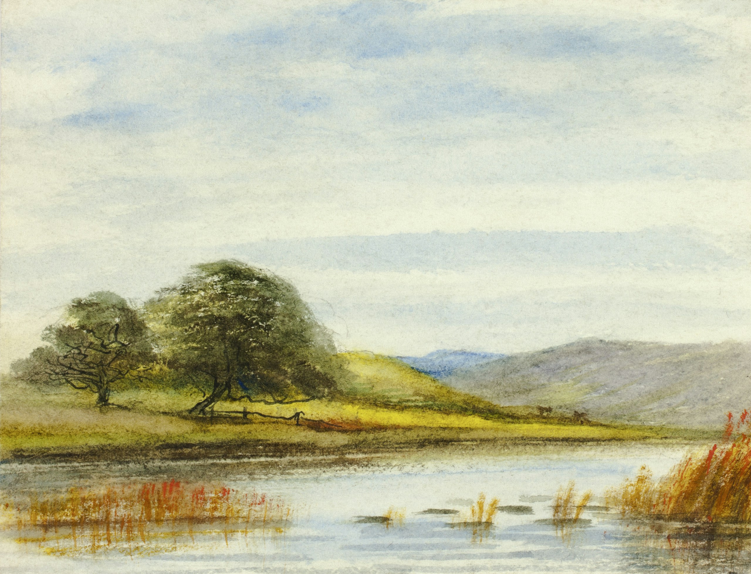 Watercolor painting of a serene marshy landscape with trees HD Wallpaper