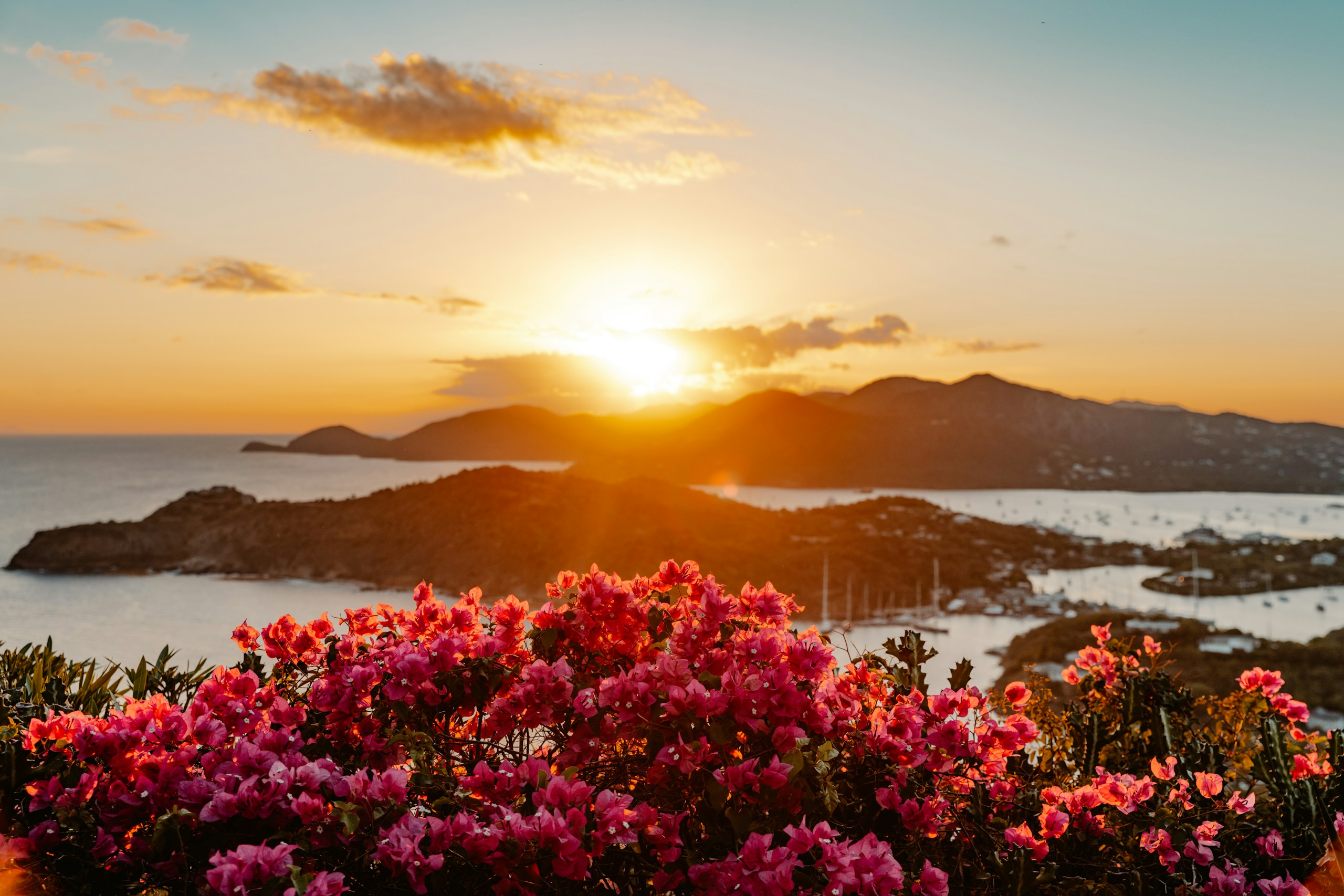 Sunset over islands with pink flowers HD Wallpaper