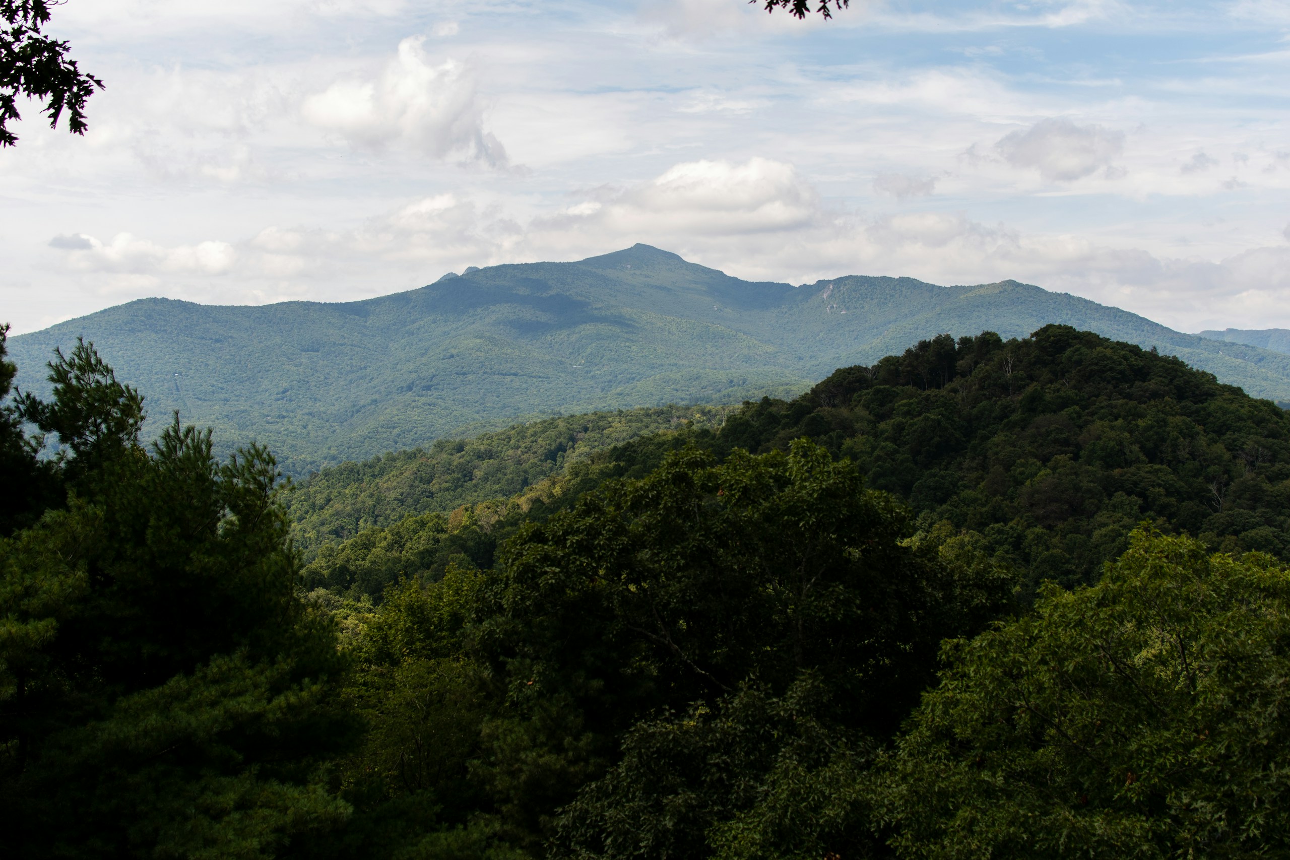 Mountain Range with Lush Green Forests HD Wallpaper