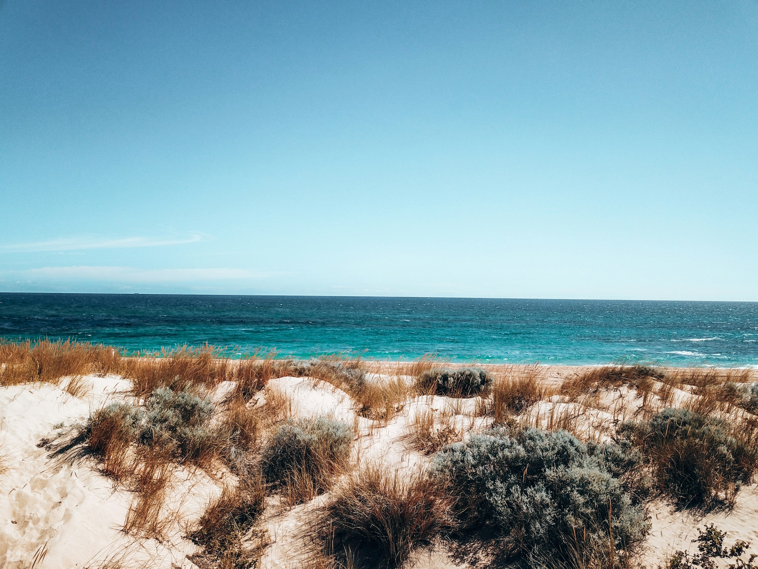 Sandy dunes with dry grass and ocean view HD Wallpaper