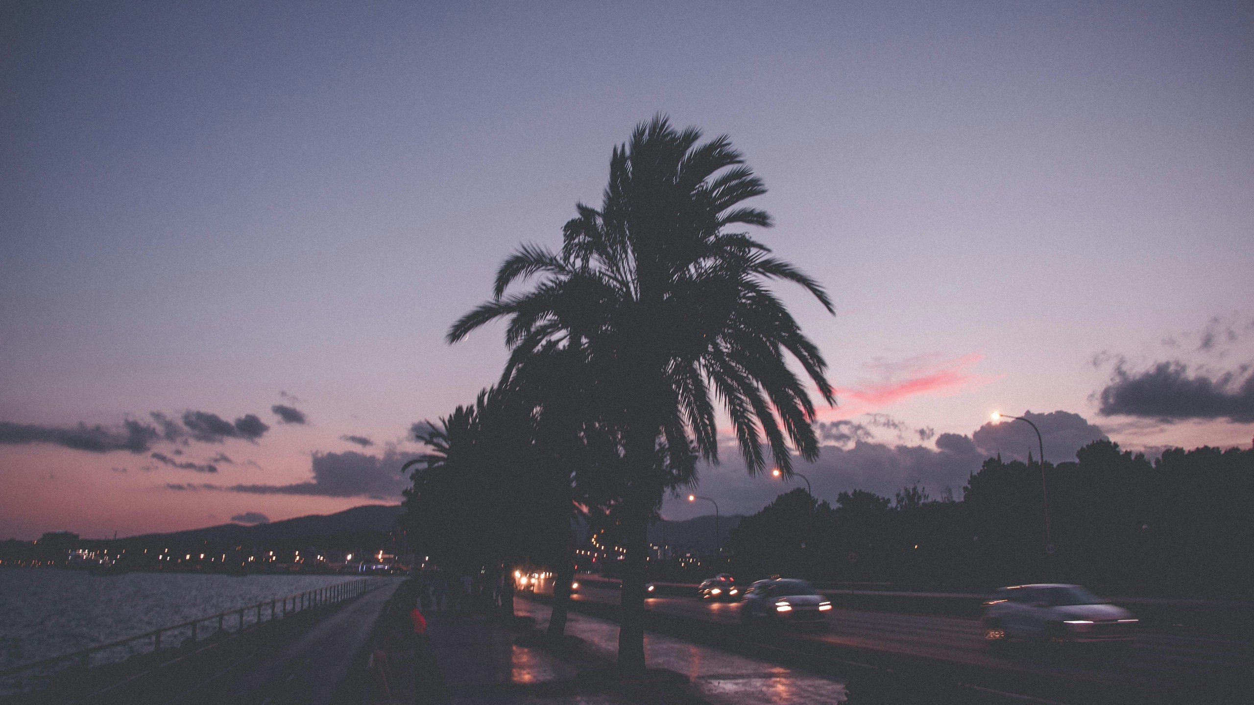 Palm trees and cars on a road at dusk HD Wallpaper