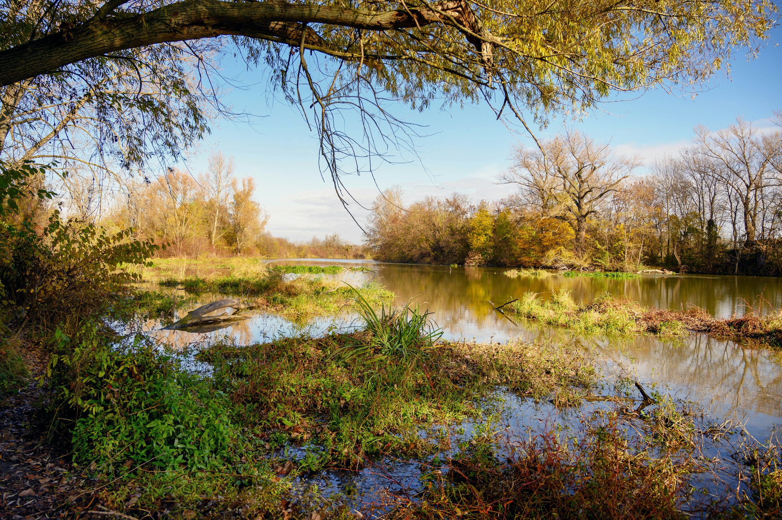 Autumn river landscape with trees and foliage HD Wallpaper