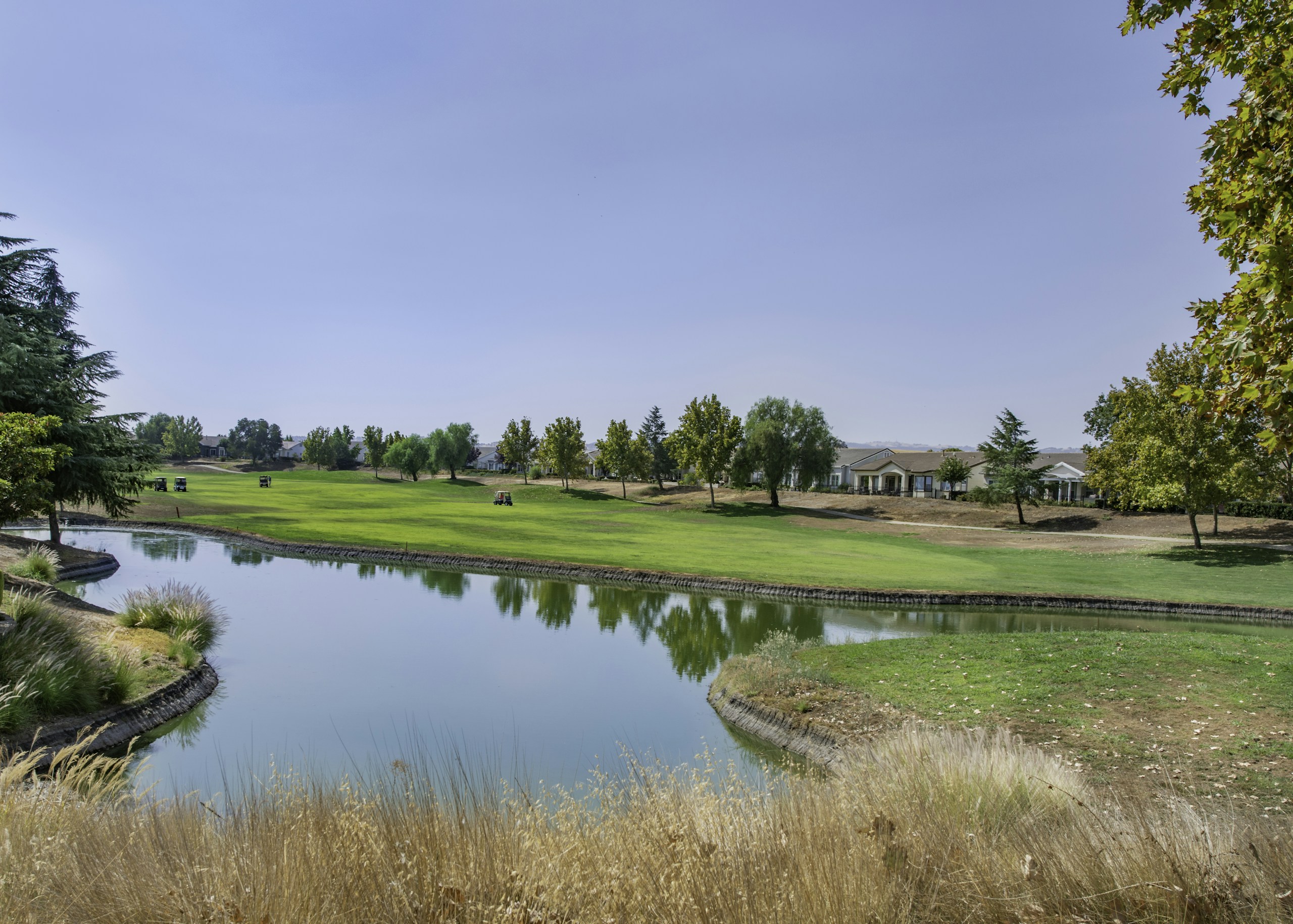 Golf course with a pond and houses HD Wallpaper