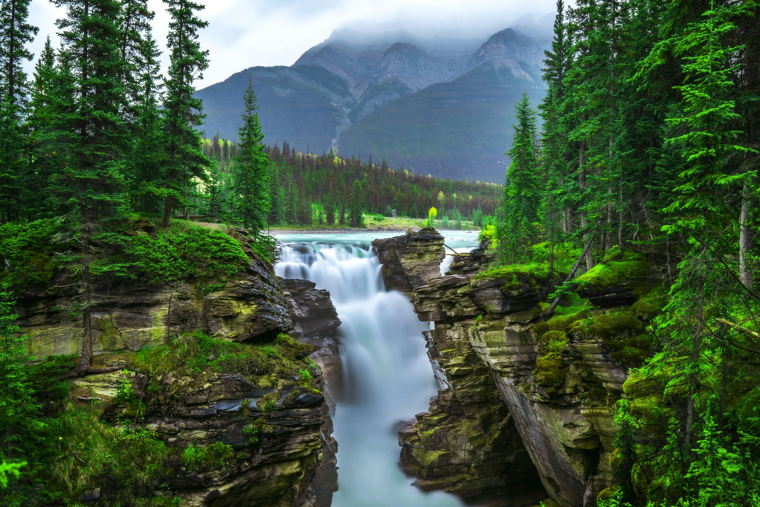 Waterfall cascading through a lush green forest HD Wallpaper