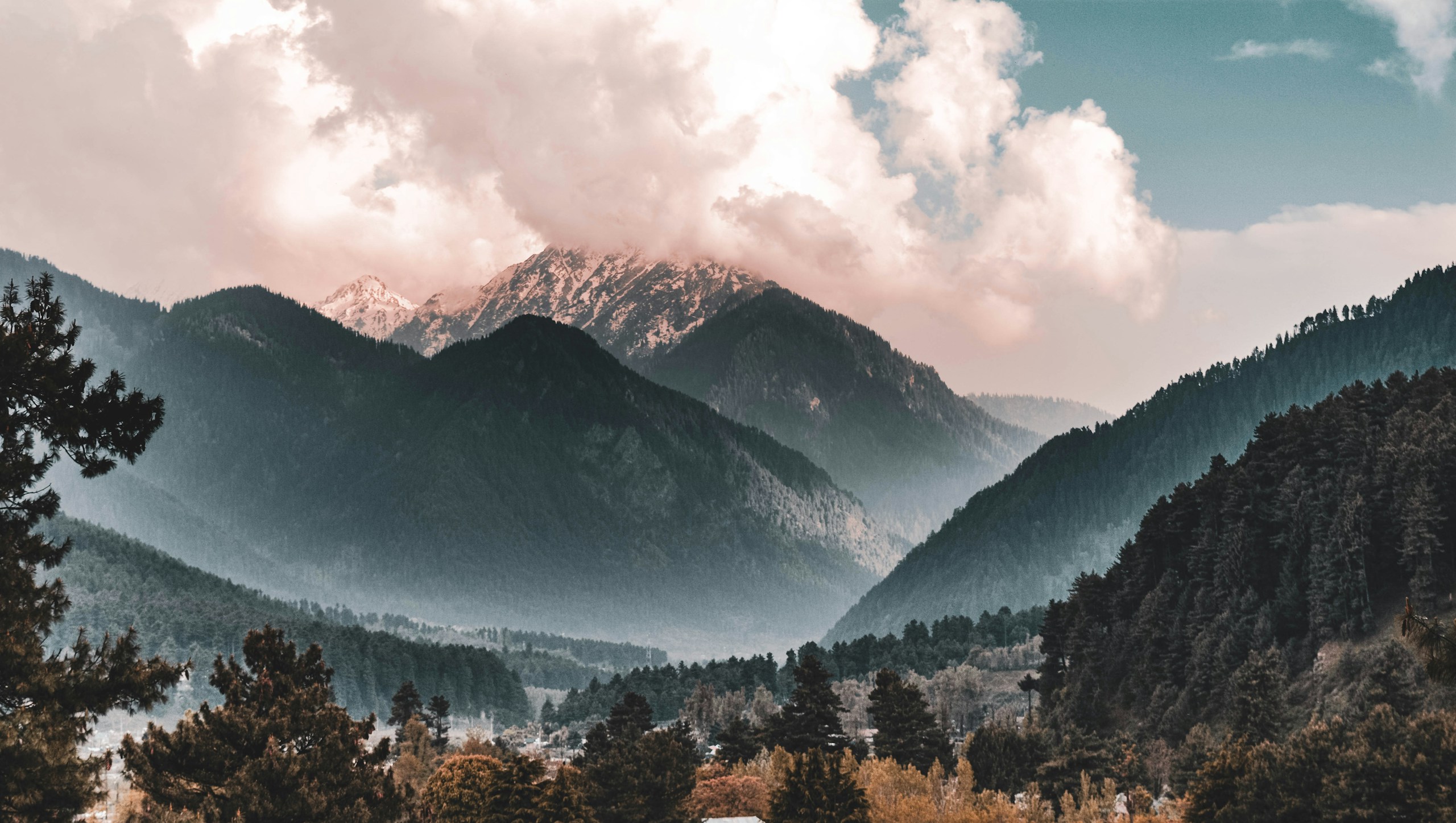Misty Mountains and Pine Forests HD Wallpaper