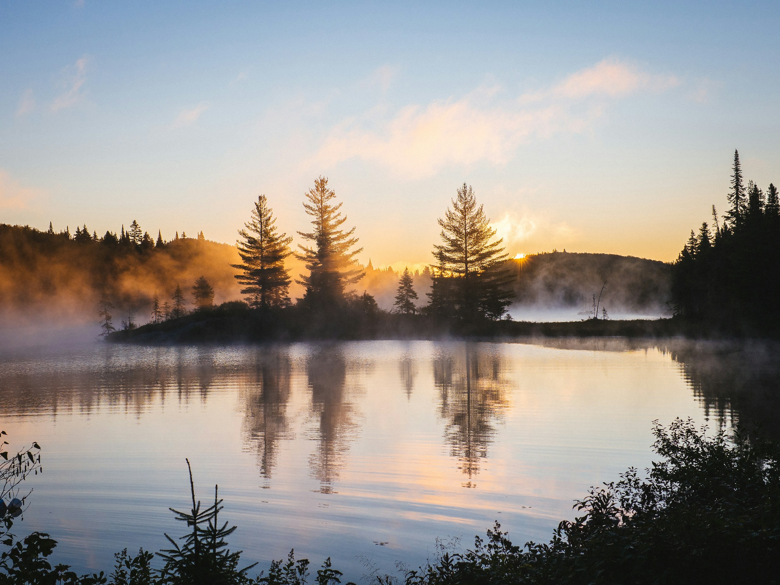 Misty lake at sunrise with silhouetted trees HD Wallpaper