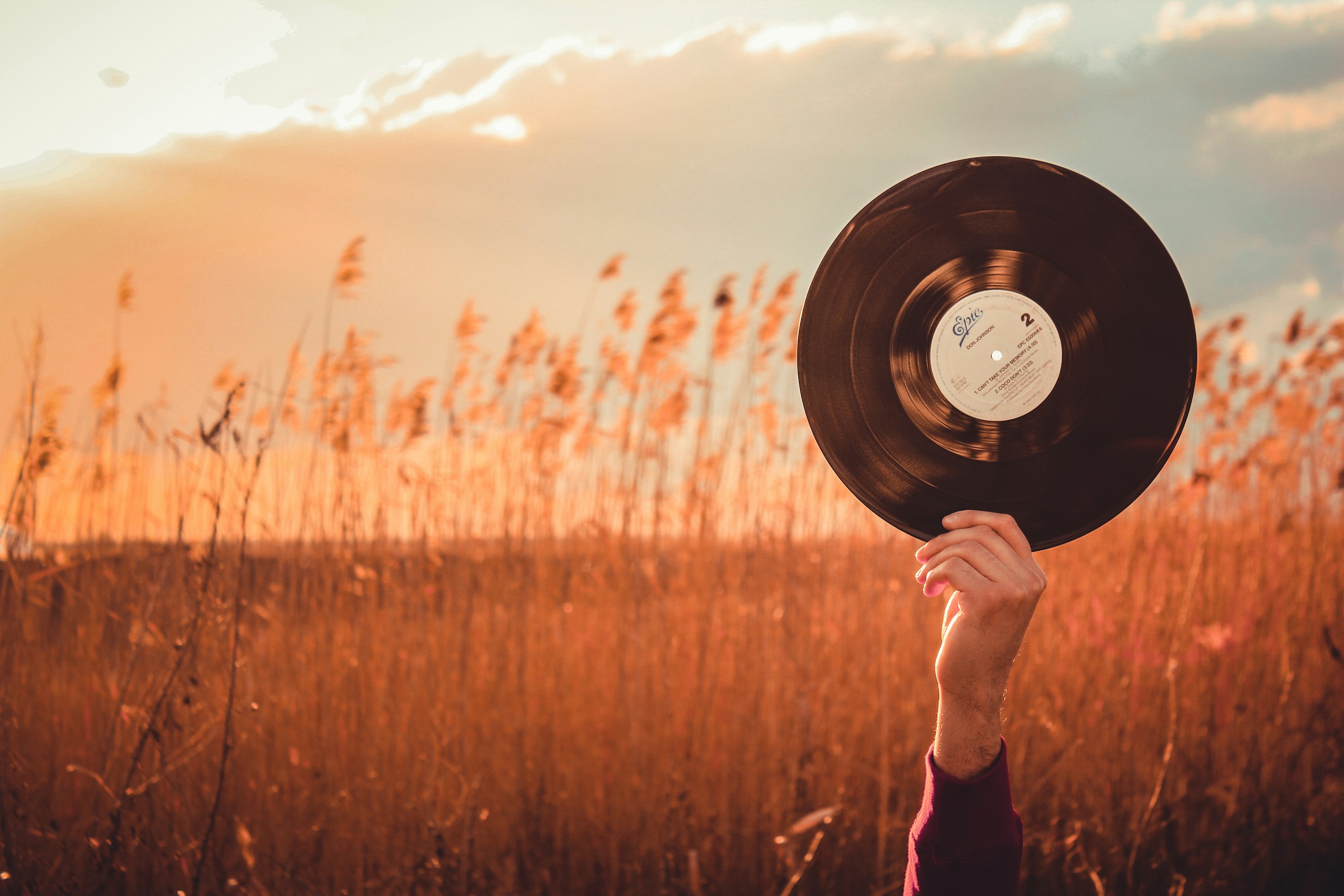 Hand holding vinyl record in a field at sunset HD Wallpaper