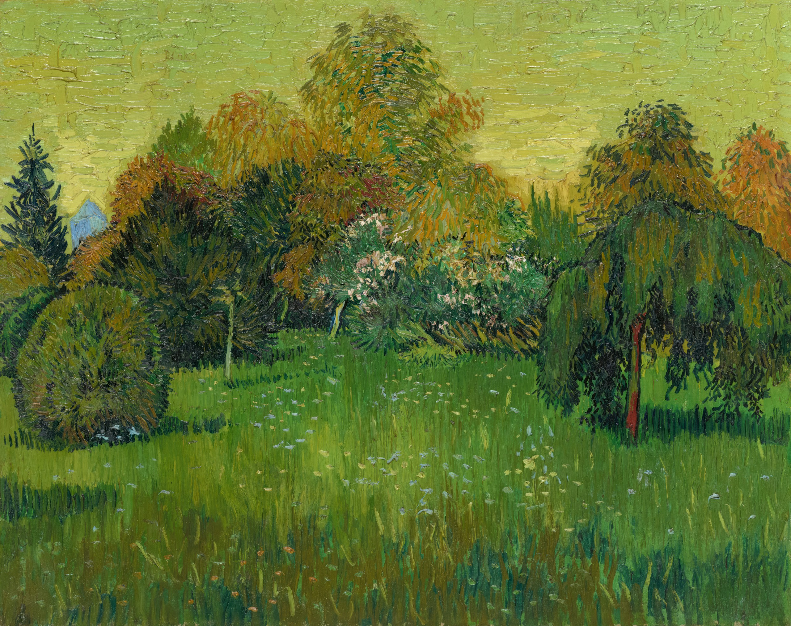 The Poet's Garden by Vincent van Gogh HD Wallpaper