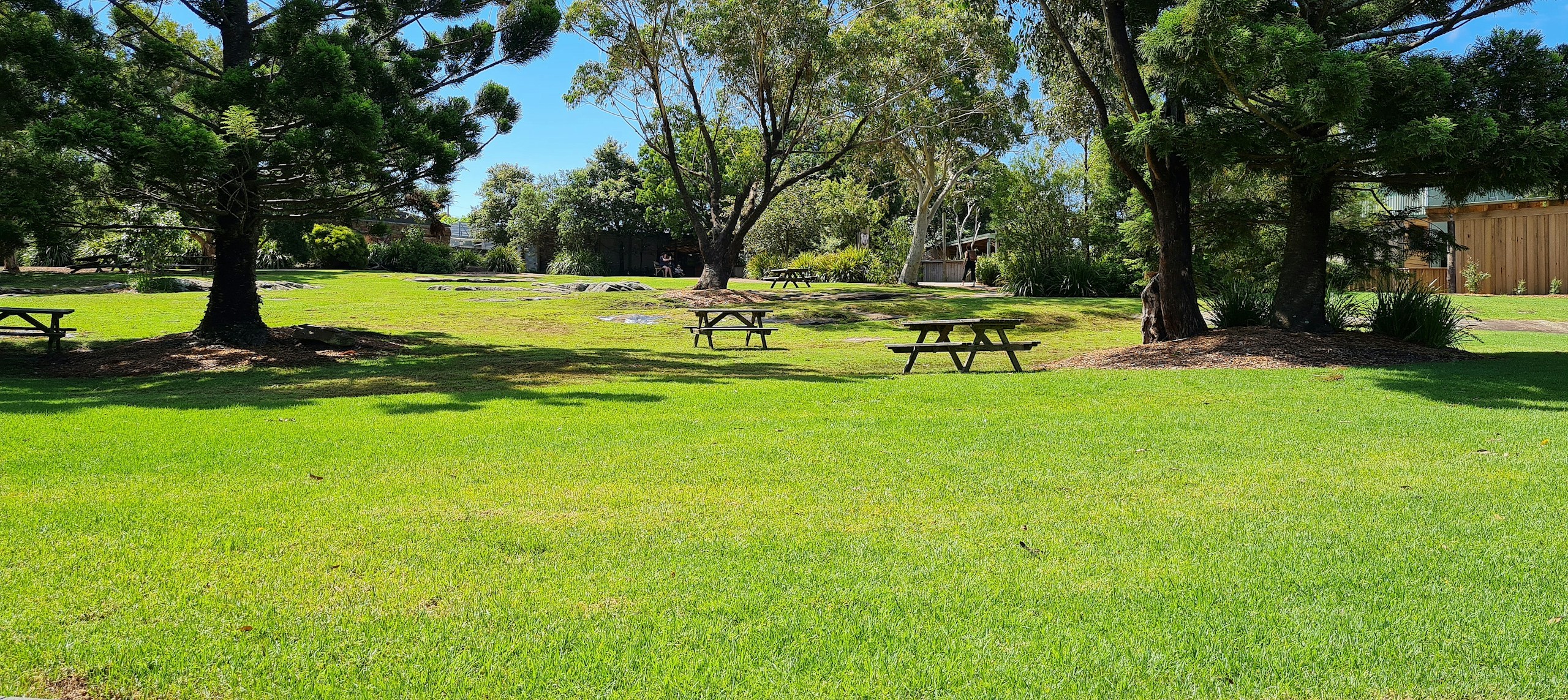 Picnic tables in a grassy park with trees HD Wallpaper