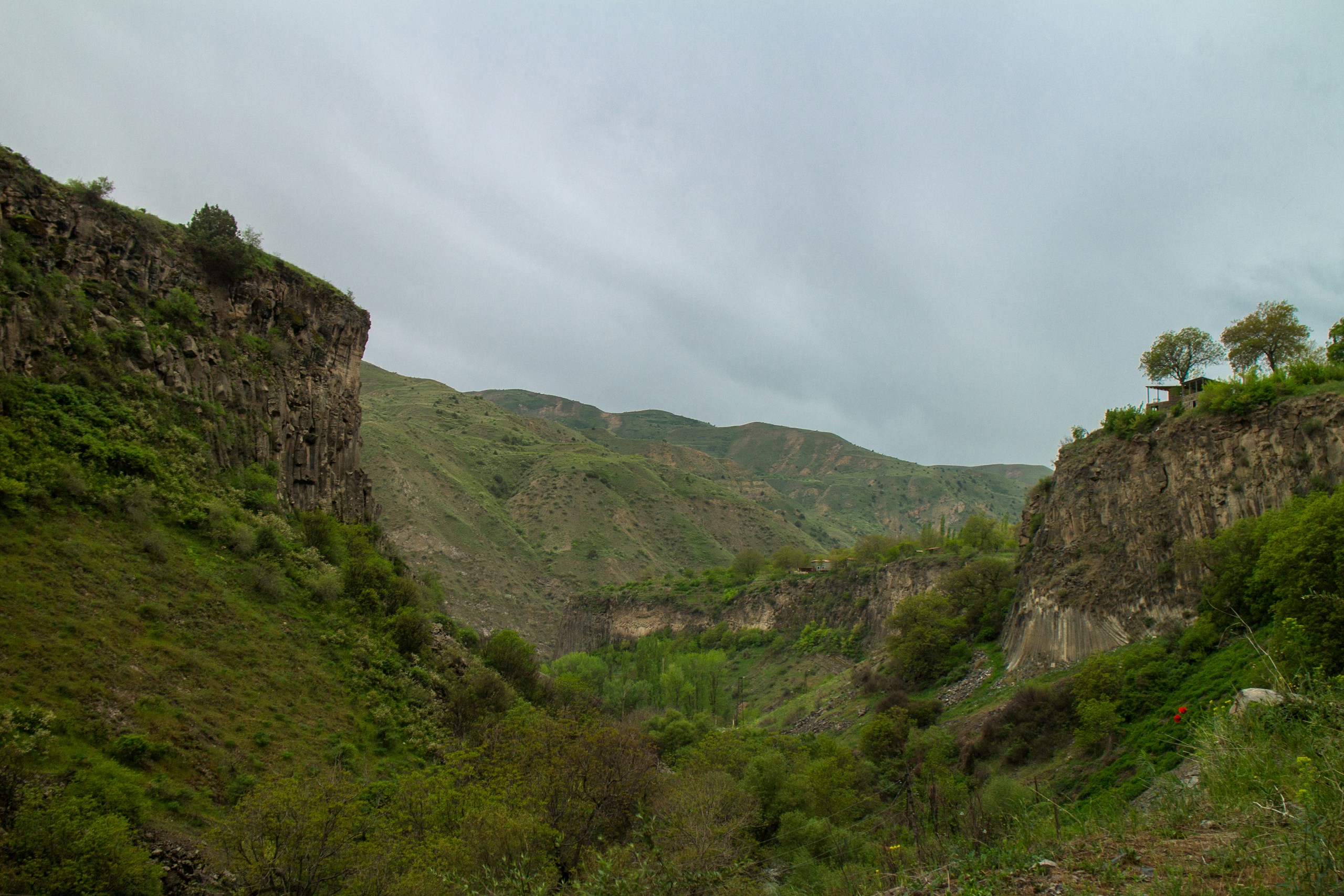 Green valley with rocky cliffs and trees HD Wallpaper