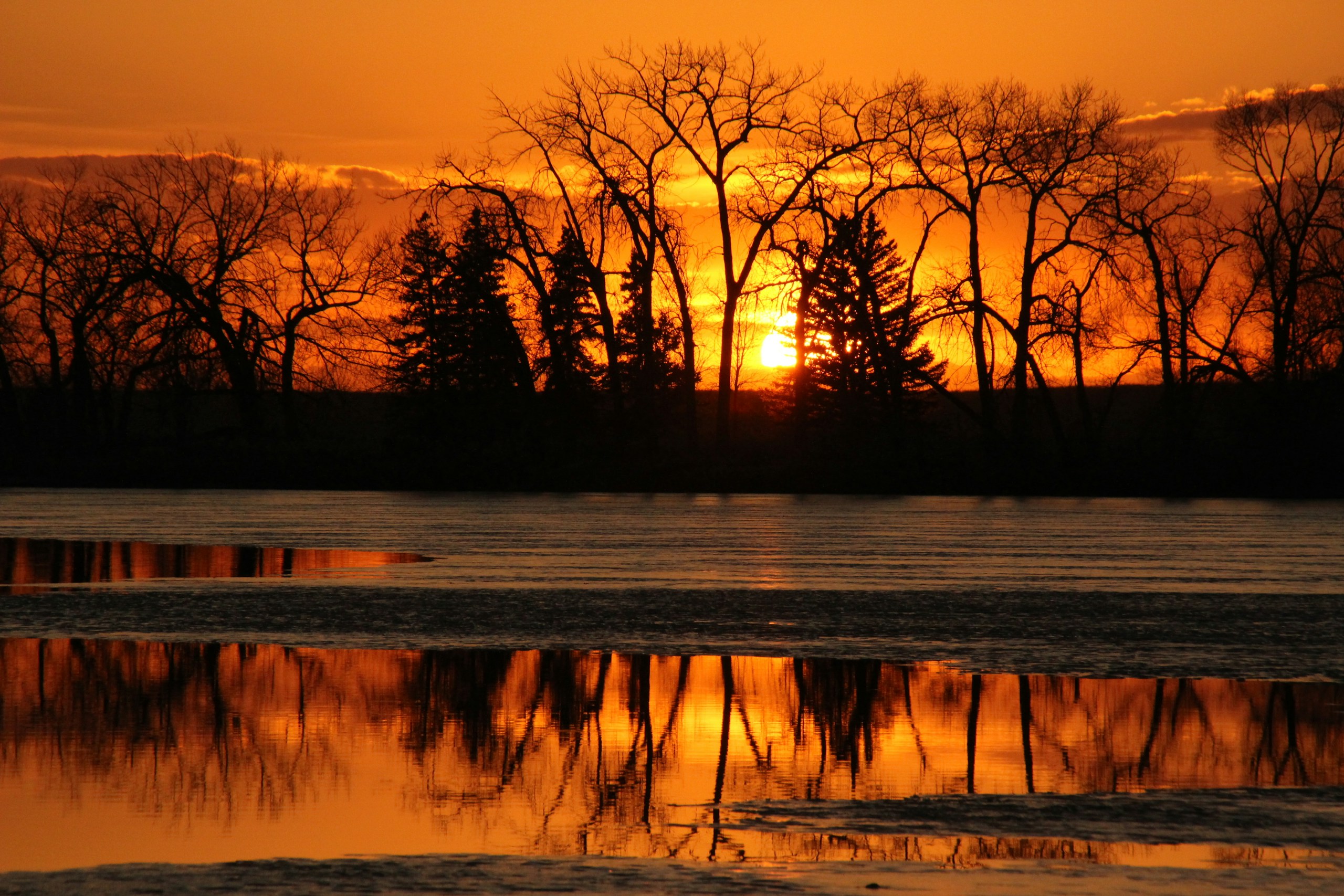Bare trees silhouetted against a vibrant sunset over water HD Wallpaper