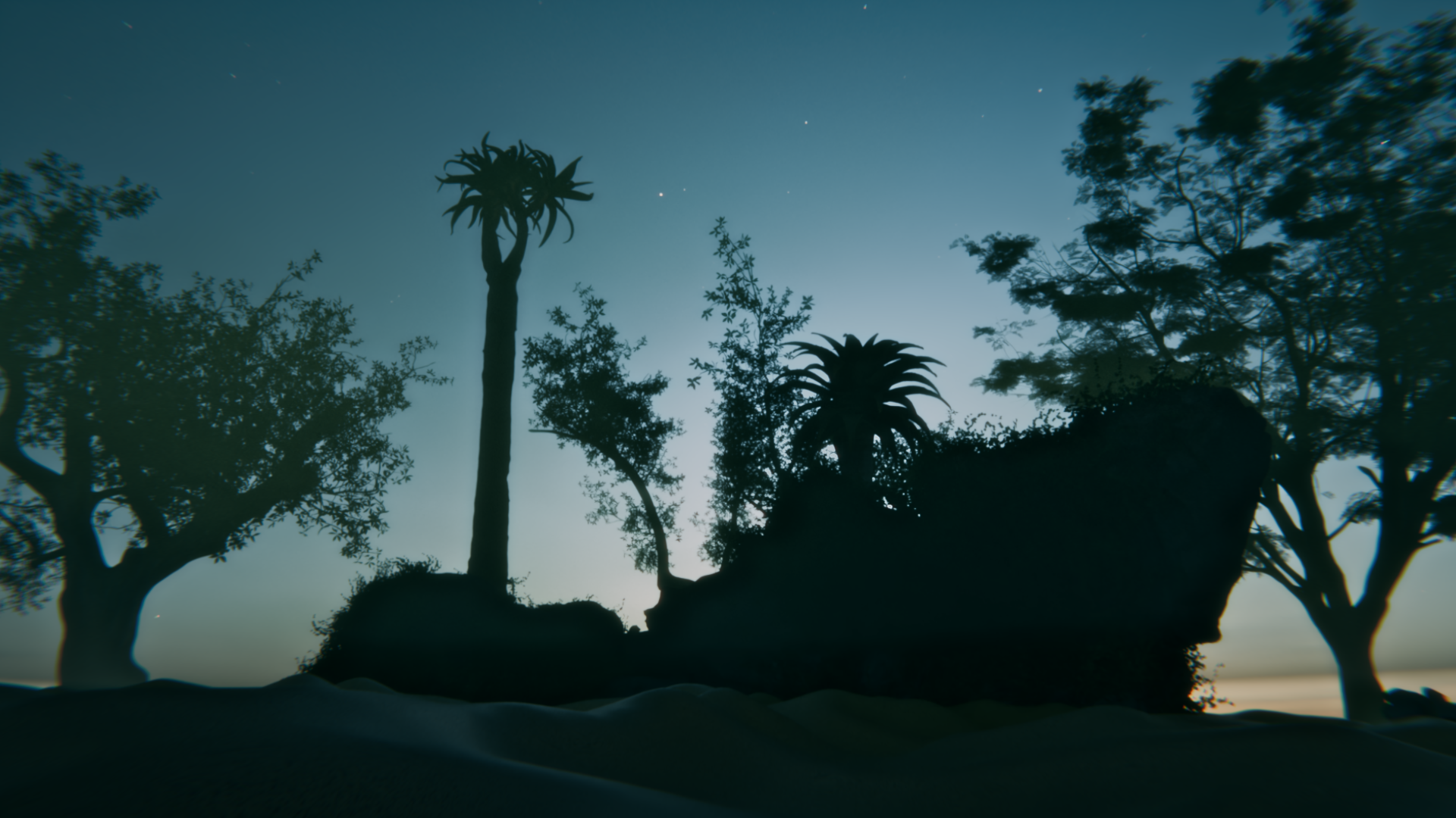 Silhouetted tropical island at dusk with stars HD Wallpaper