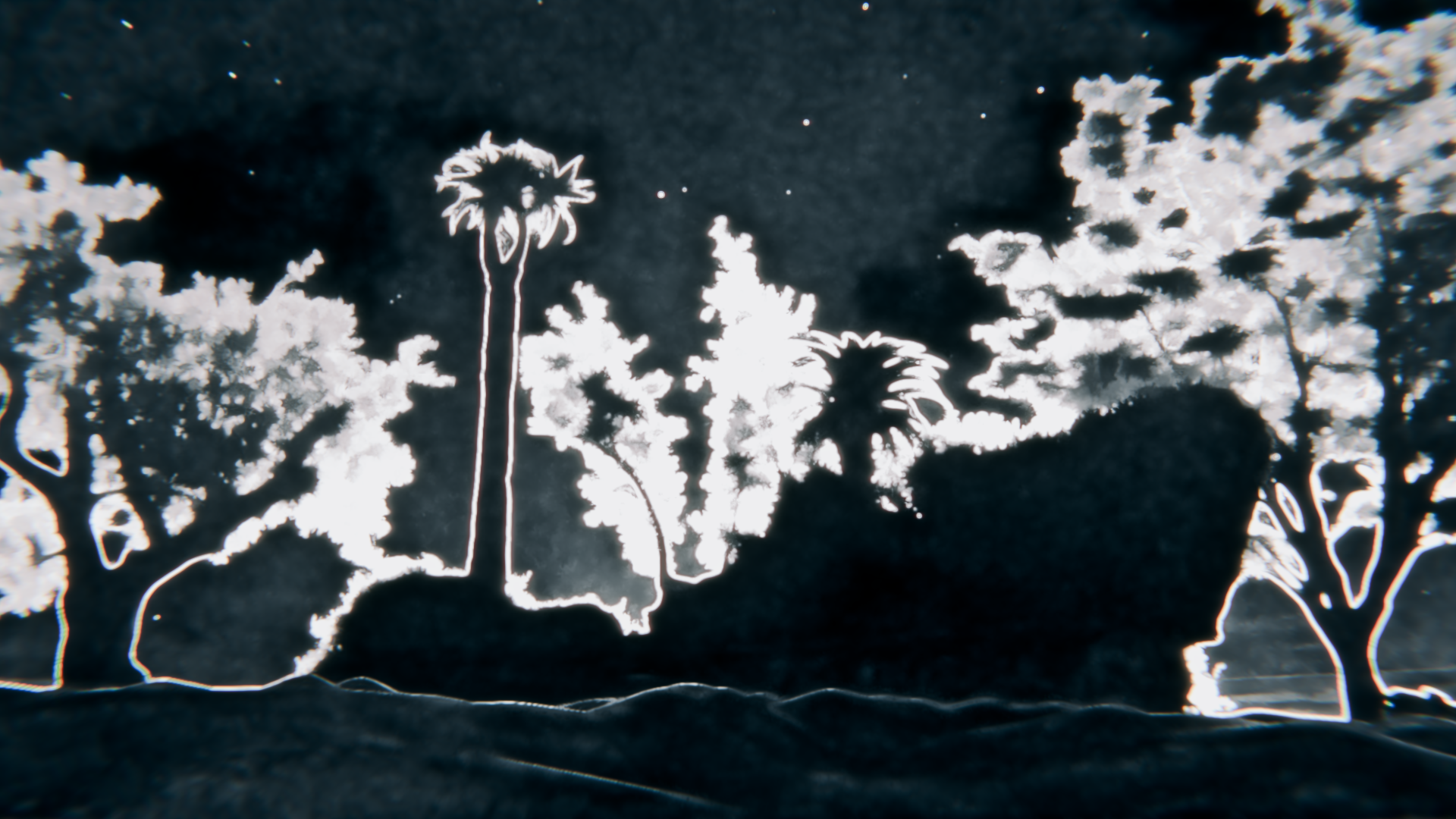 Stylized night landscape with palm trees and stars HD Wallpaper