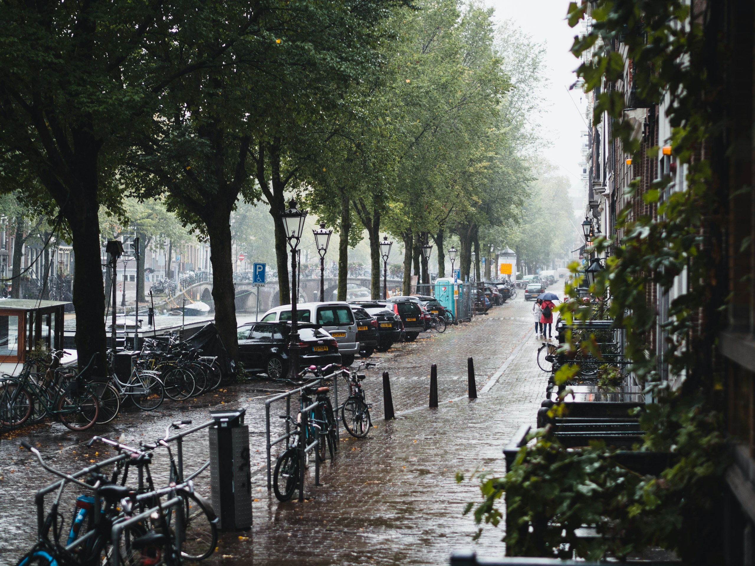 Rainy Amsterdam street with parked bicycles and people HD Wallpaper